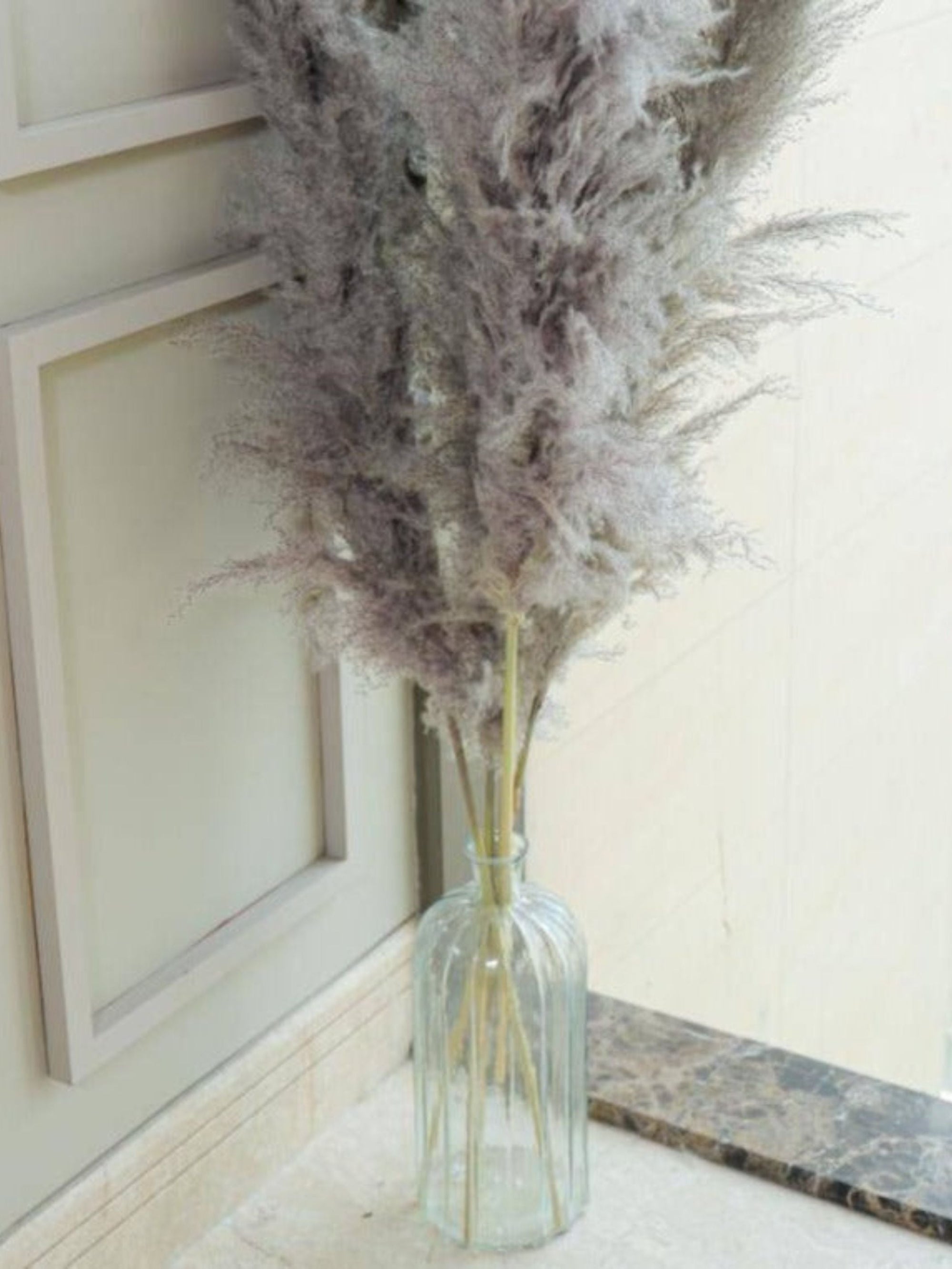 Imported charcoal Pampas-XL -set of 5 stems