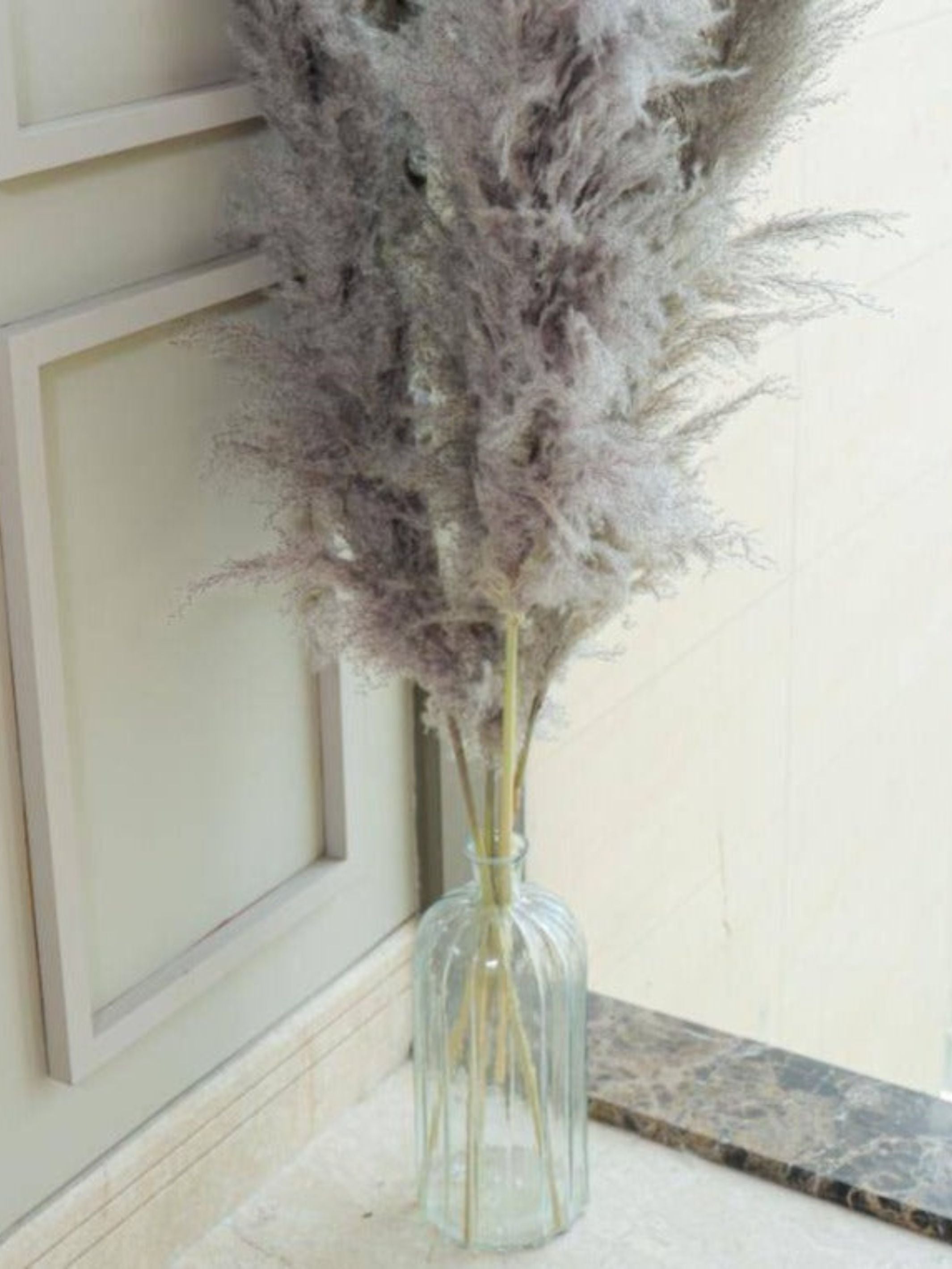 Imported charcoal Pampas-XL -set of 5 stems