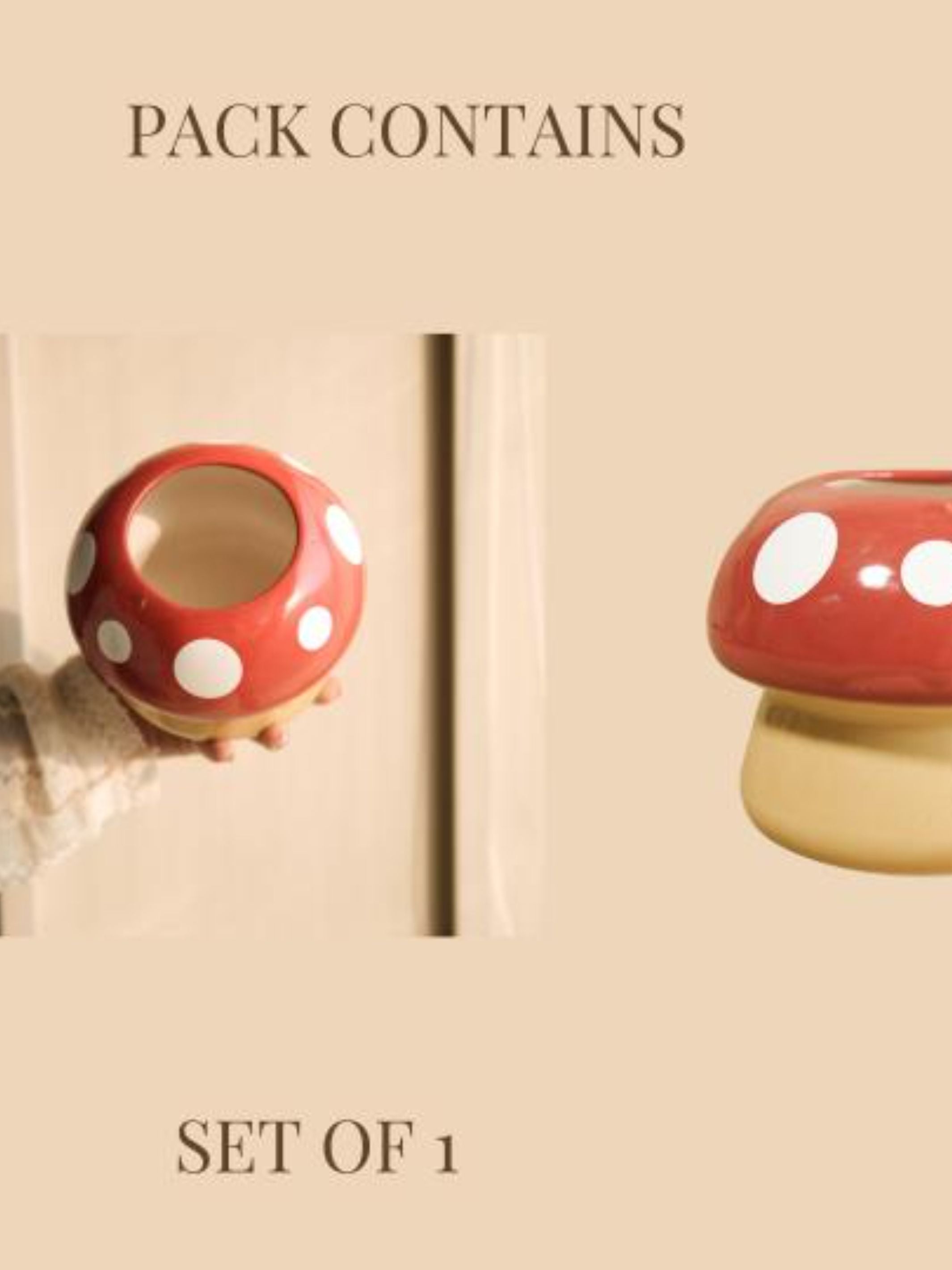 Mushroom Planter