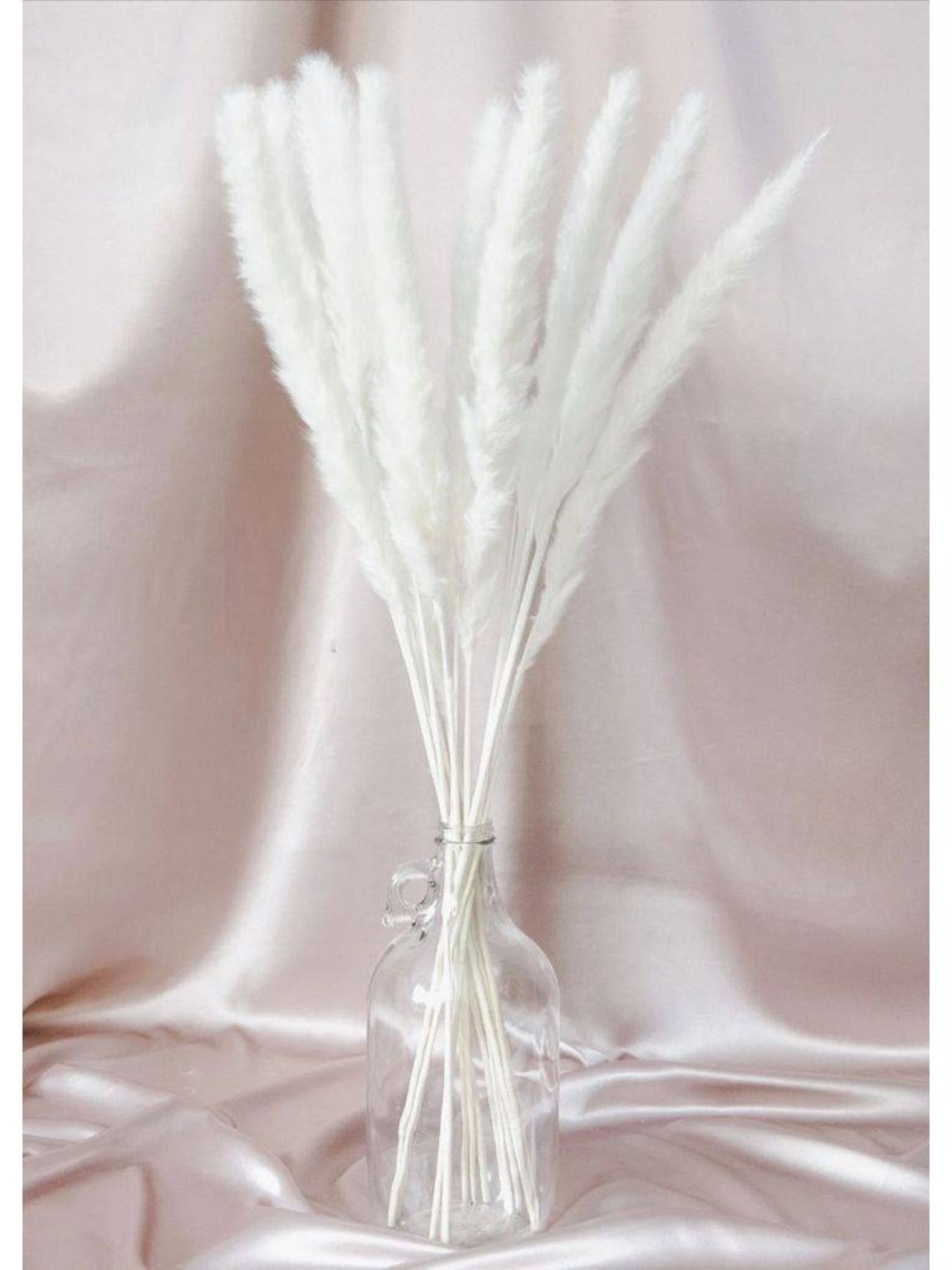 Mini white pampas-set of 10 sticks