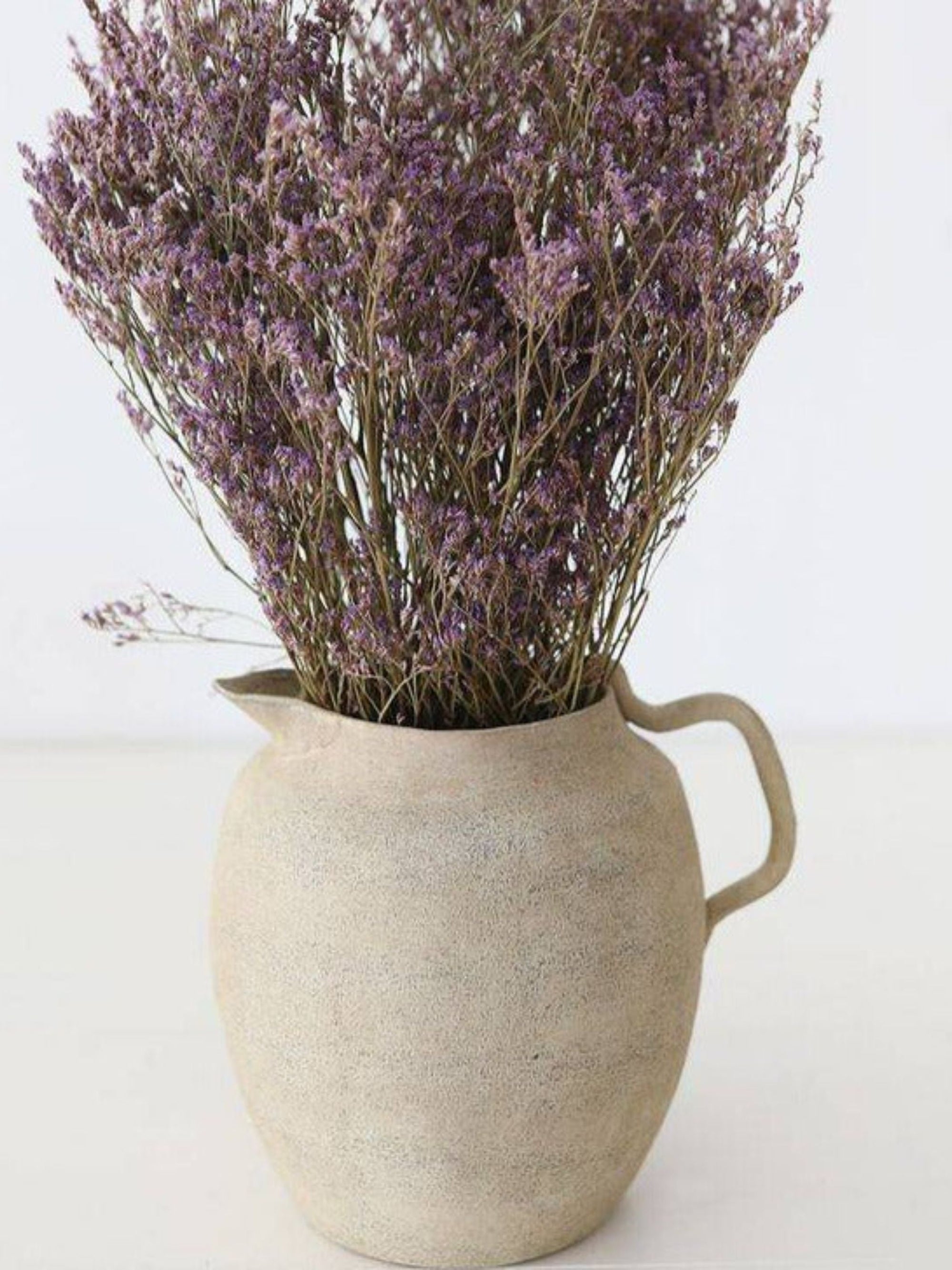 Limonium-Purple