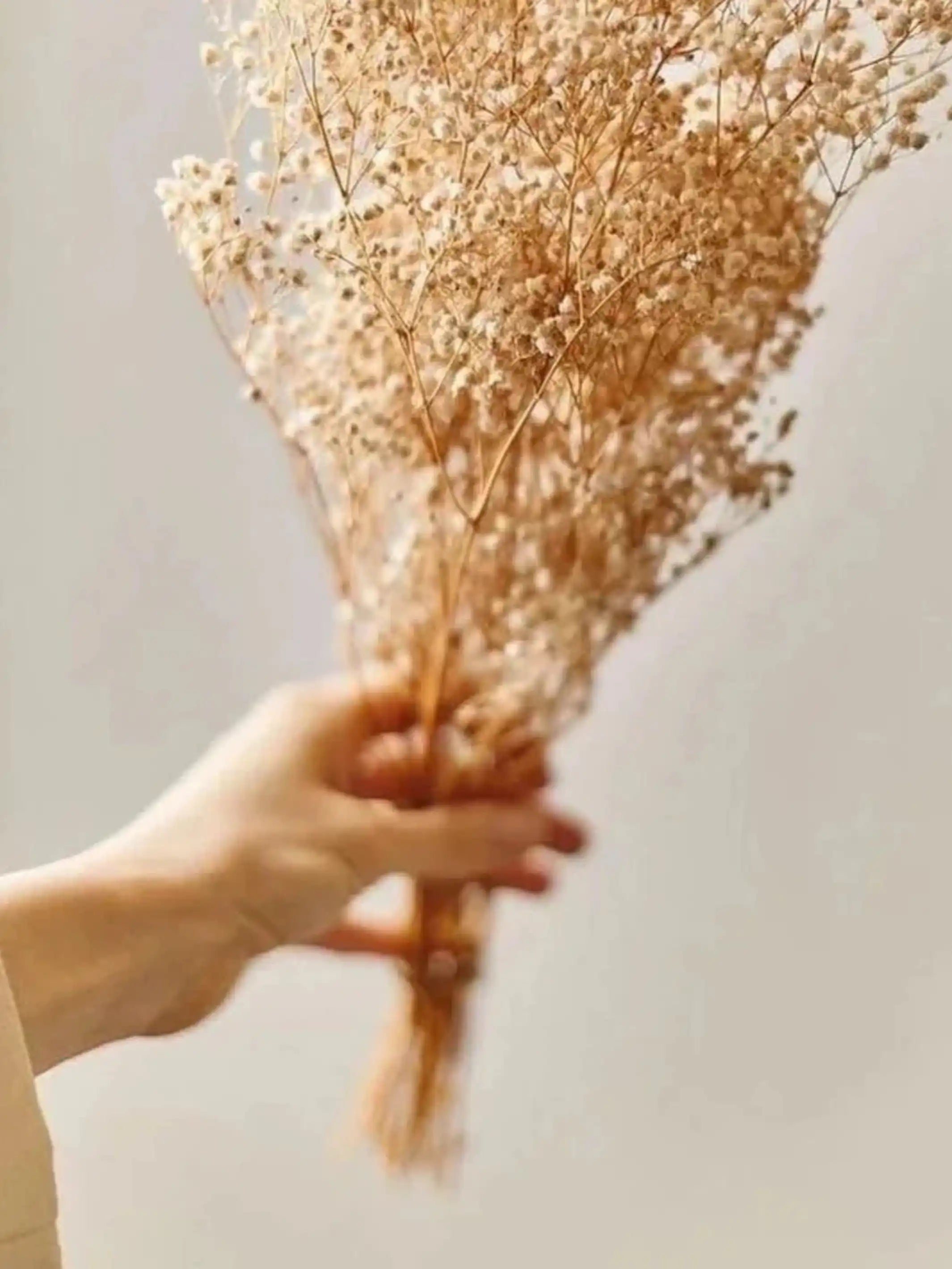 Baby breaths - White