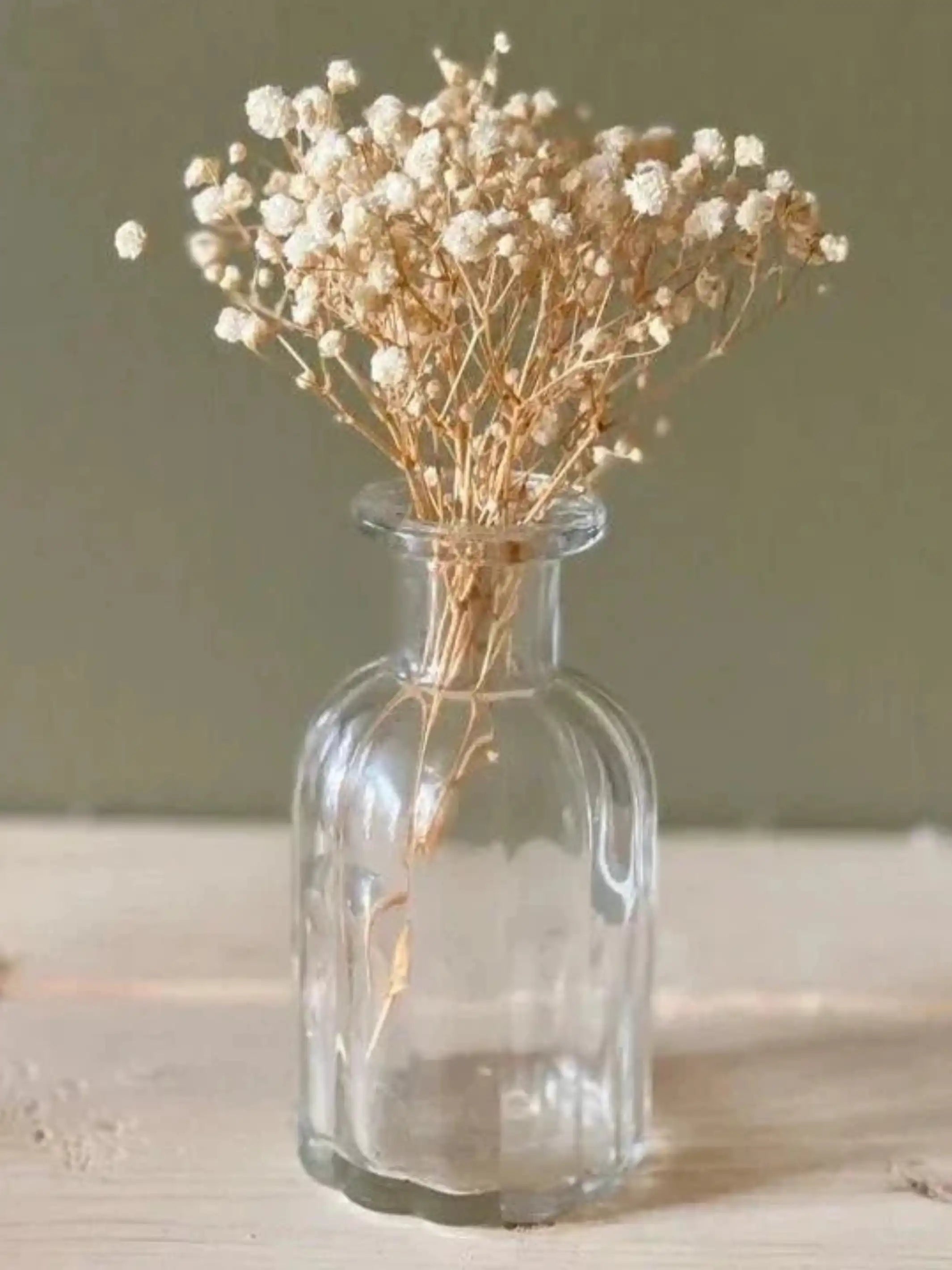 Baby breaths - White