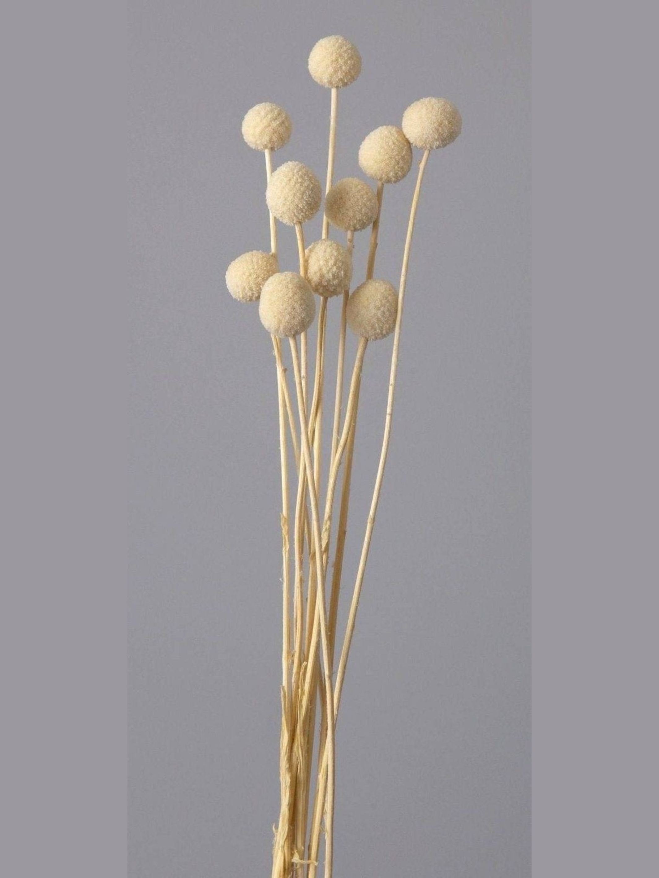 Billy ball-set of 10