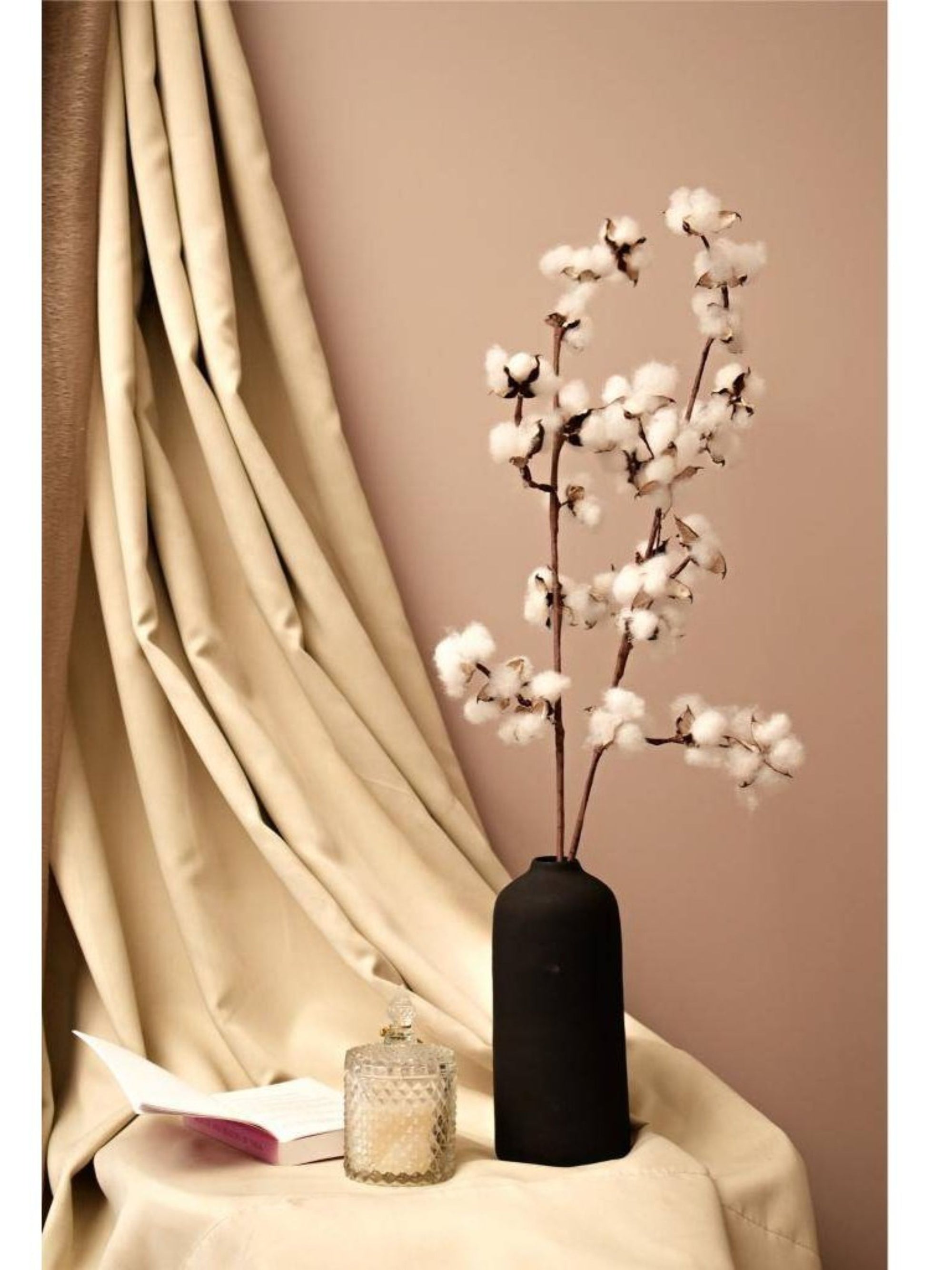Cotton bloom stems
