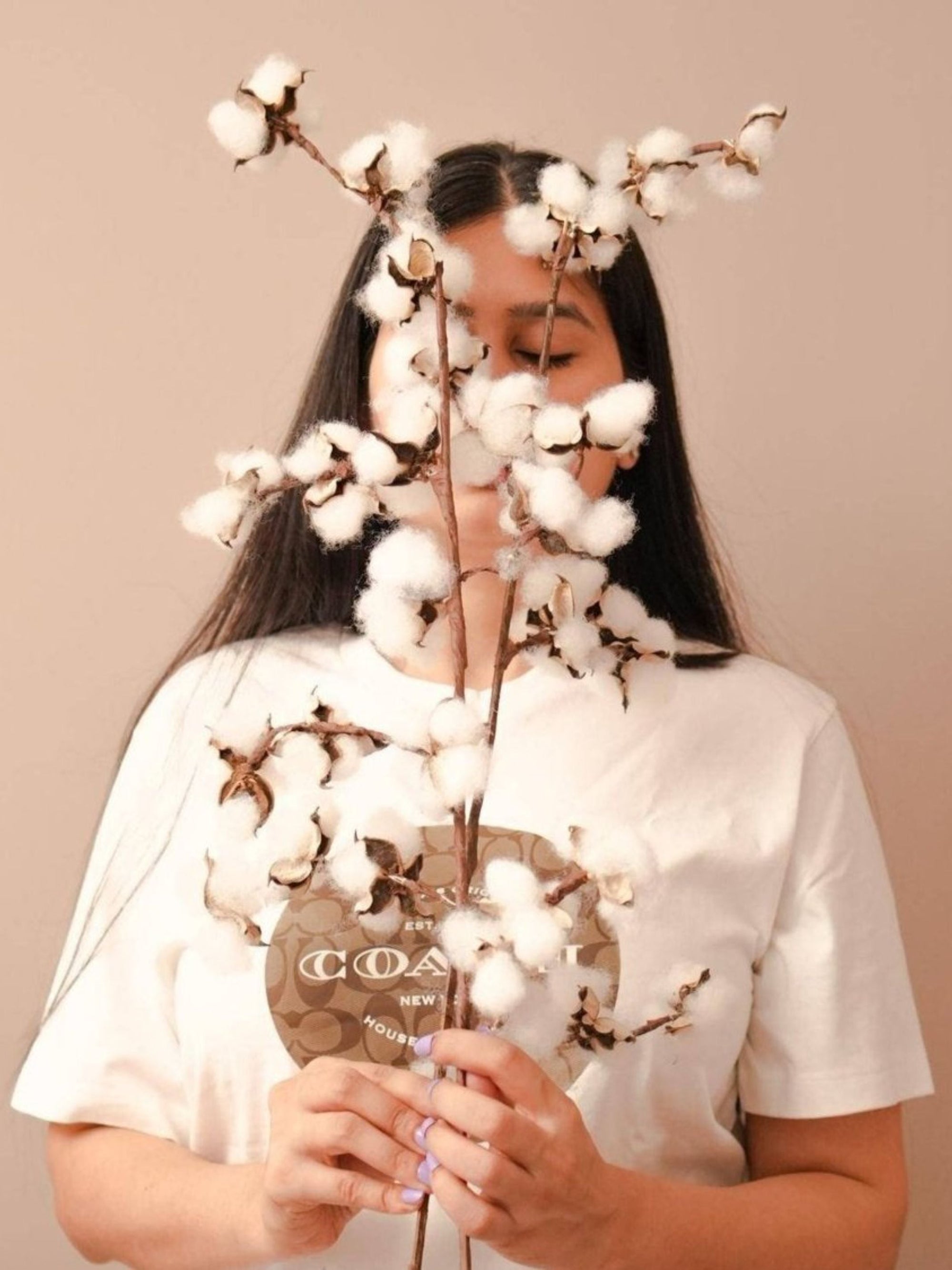 Cotton bloom stems