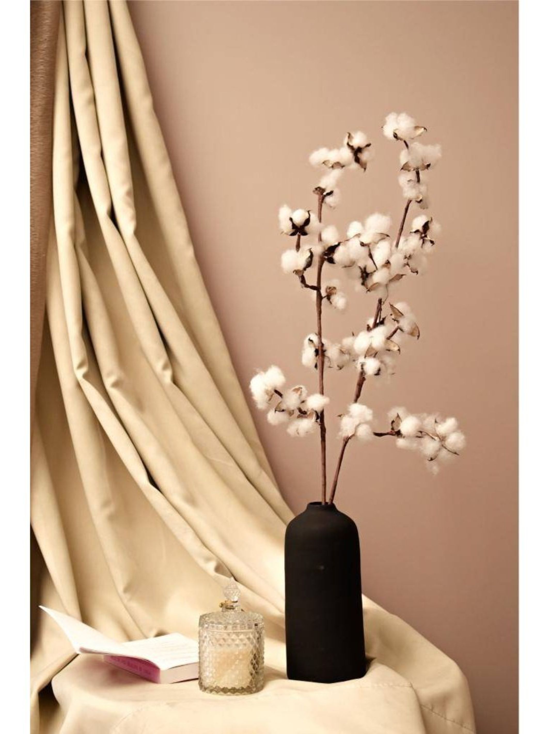 Cotton bloom stems