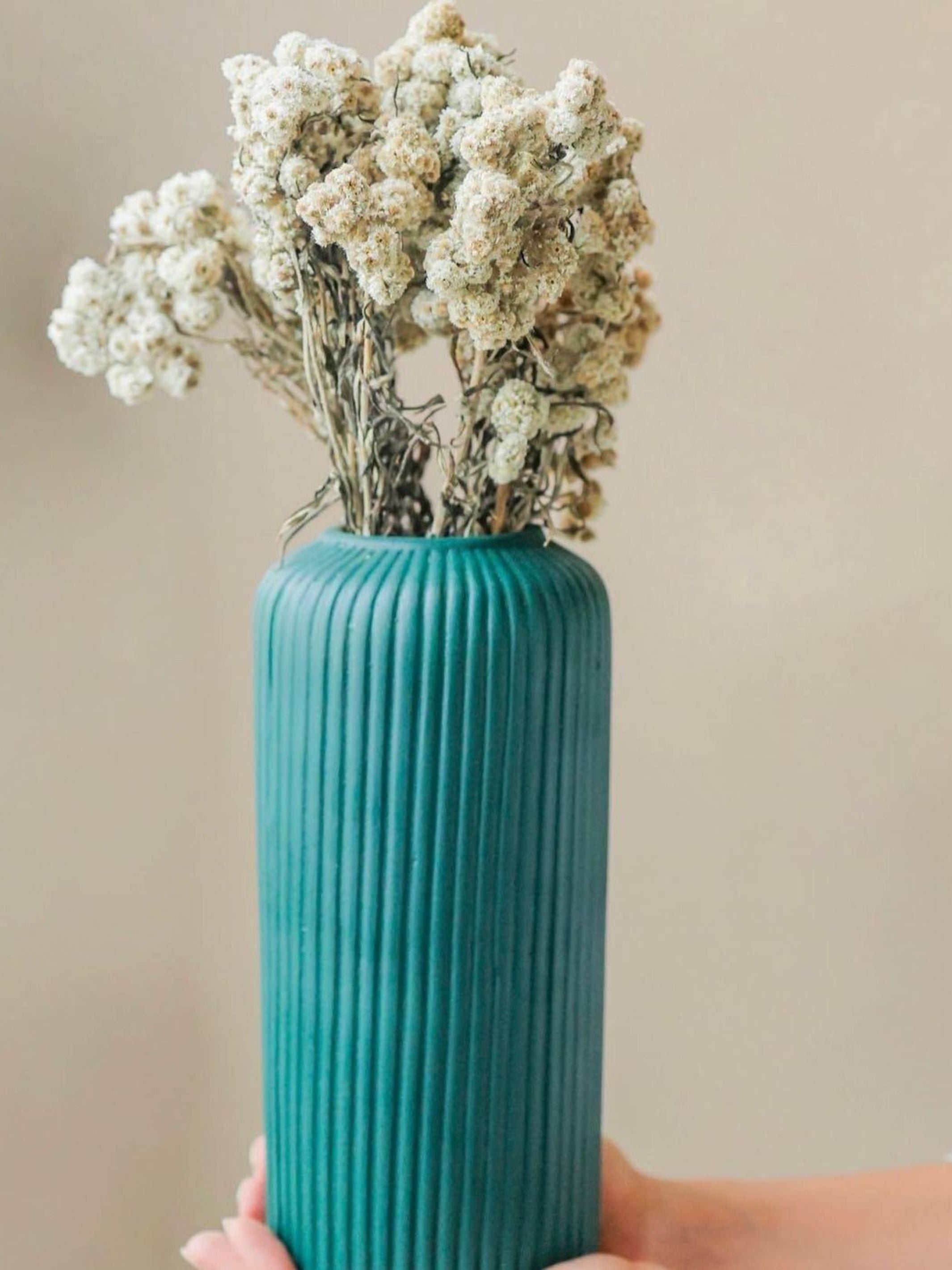 Daisies white-set of 30 stems