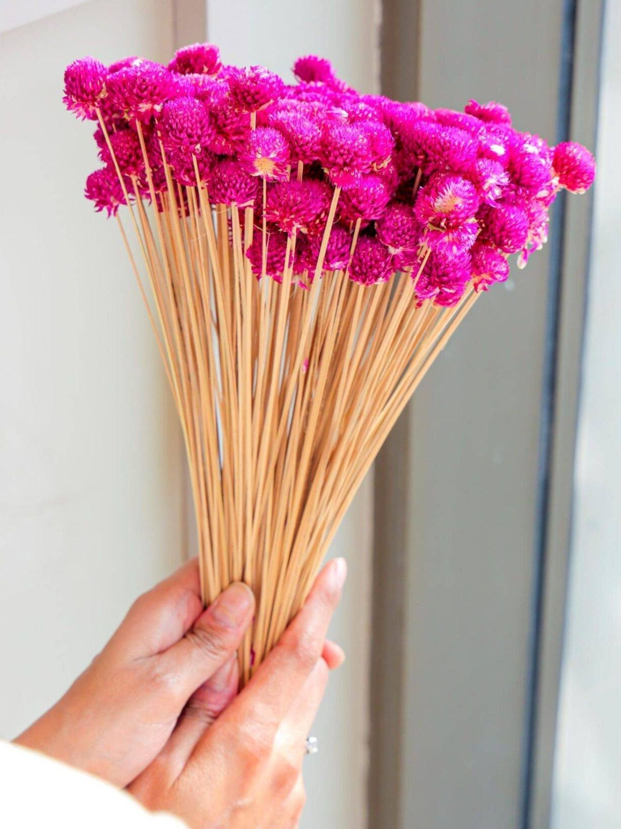 gomphera set of 25 stems -Dark pink