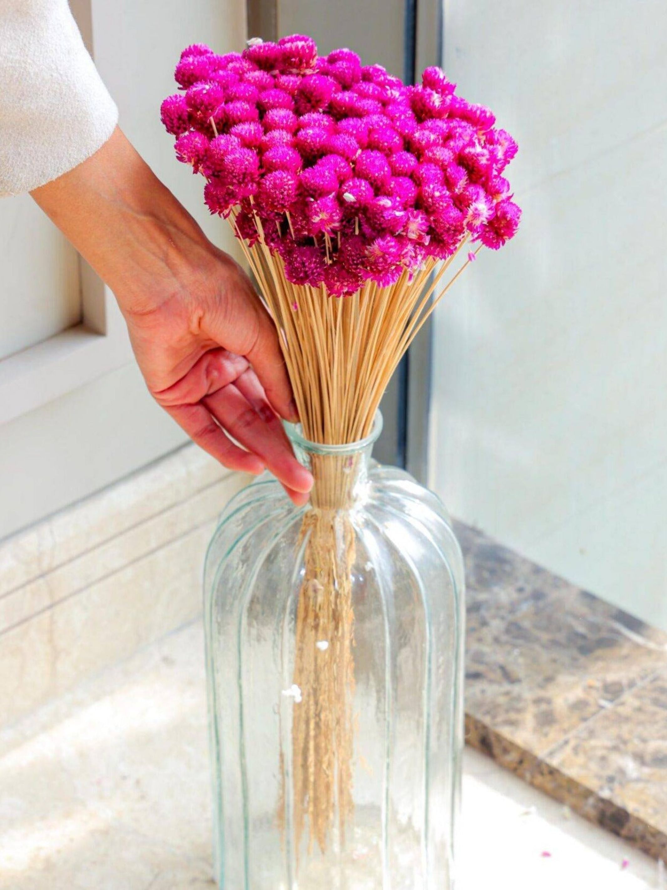 gomphera set of 25 stems -Dark pink