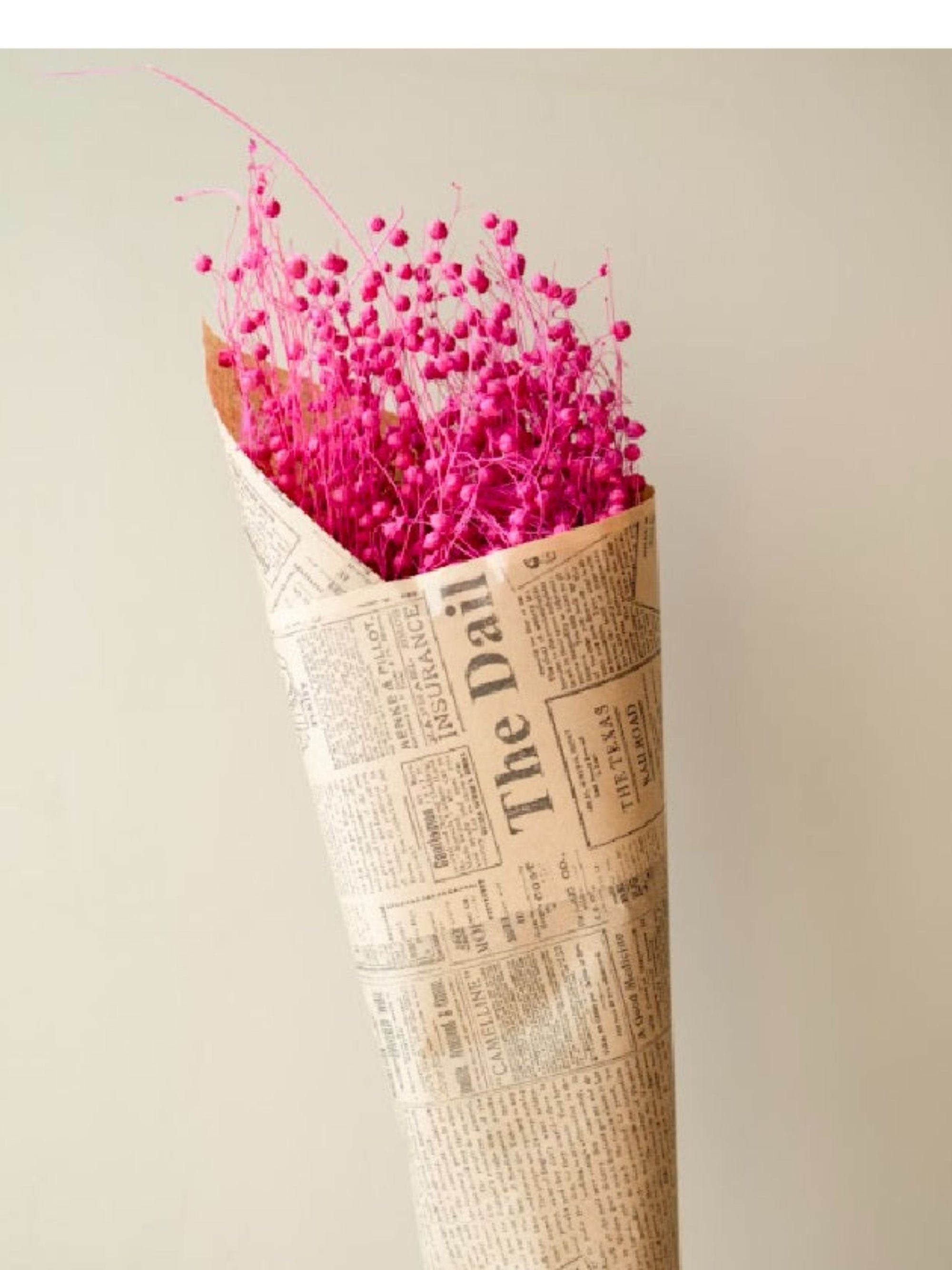 Pink flax dried flower