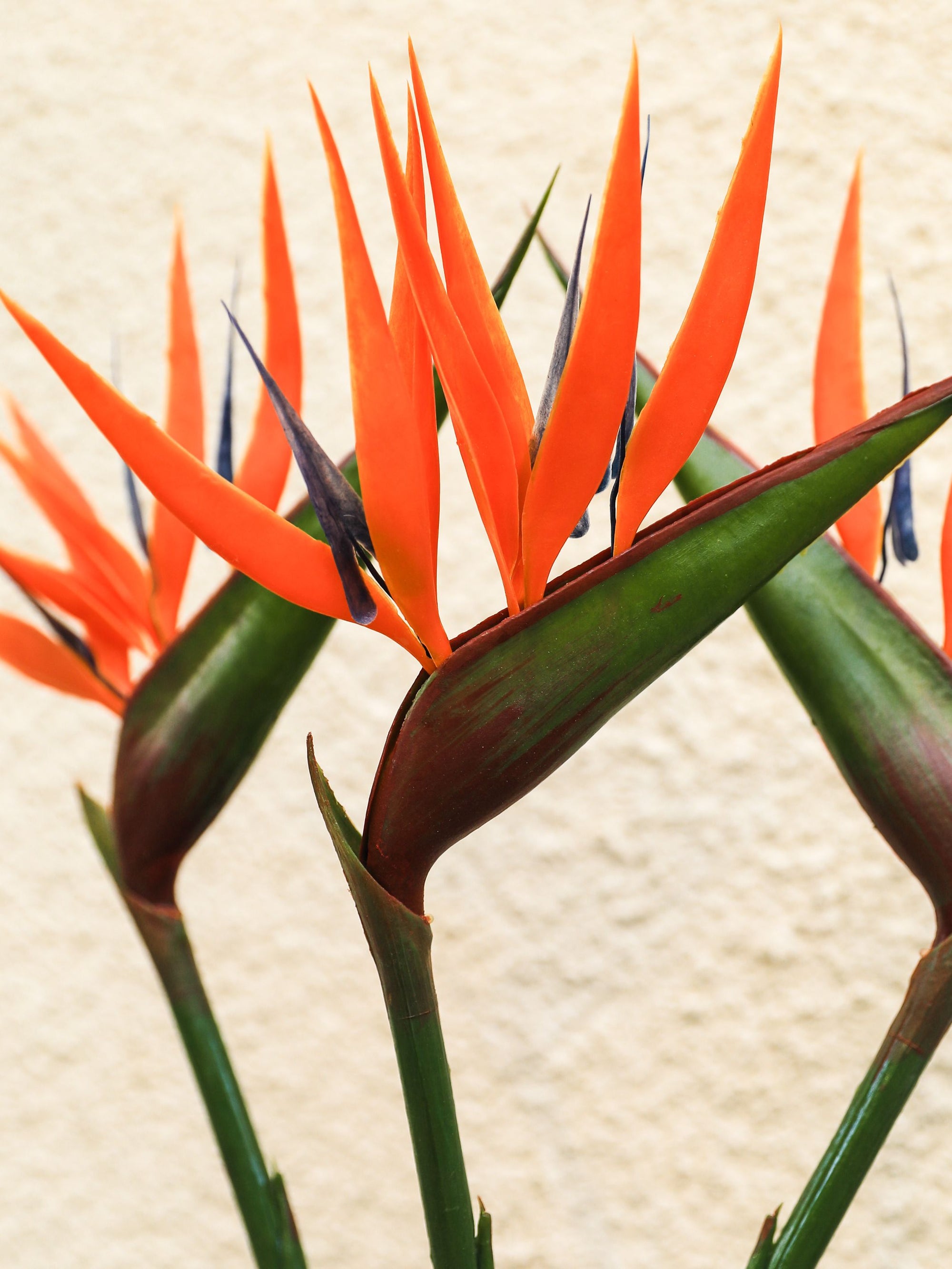 Artificial Flower Bird Of Paradise