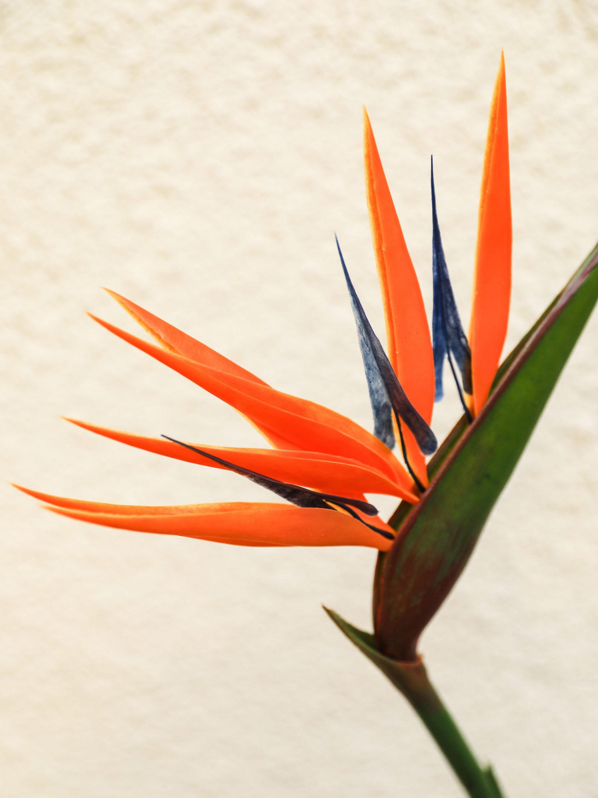 Artificial Flower Bird Of Paradise