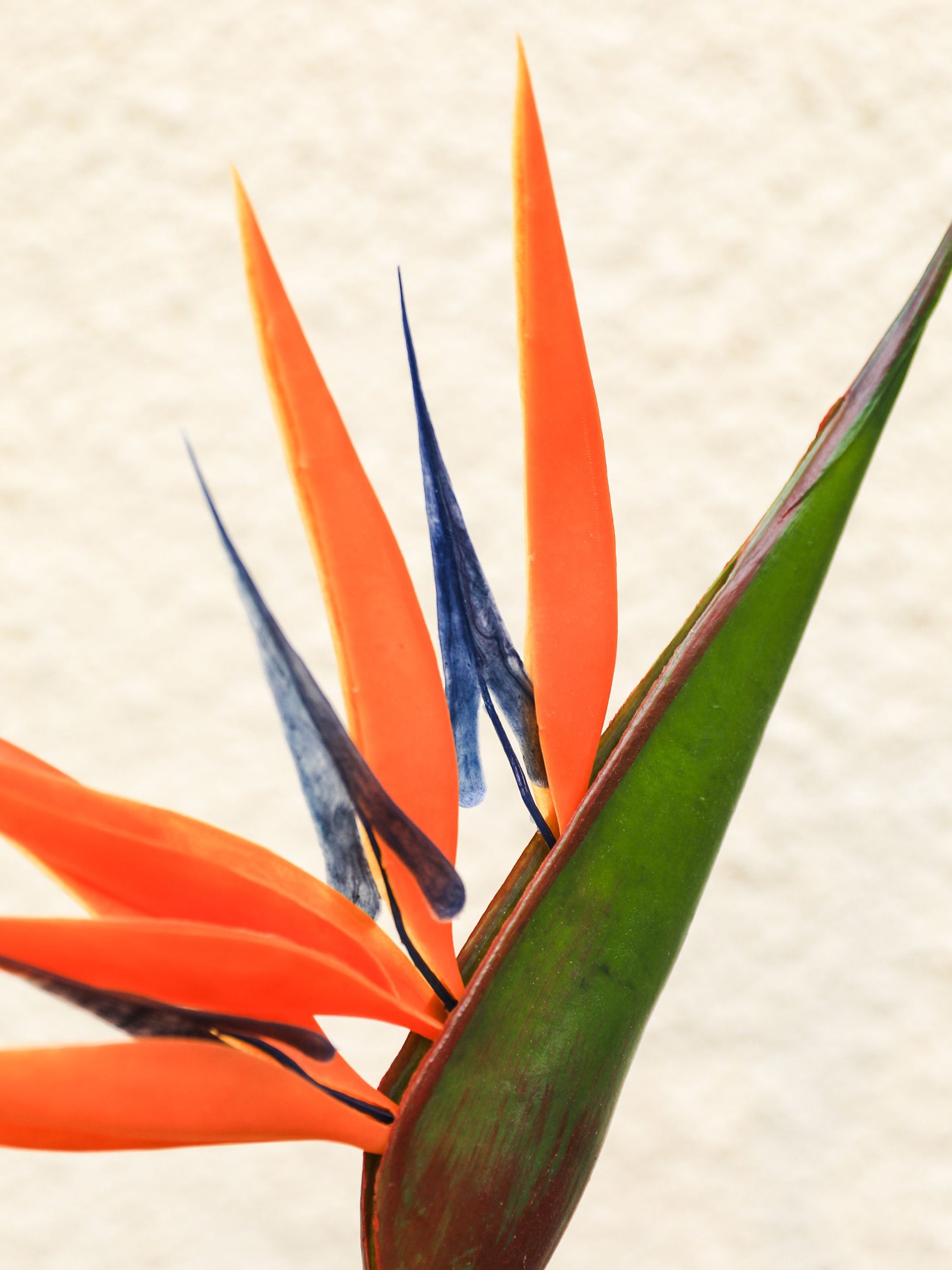 Artificial Flower Bird Of Paradise