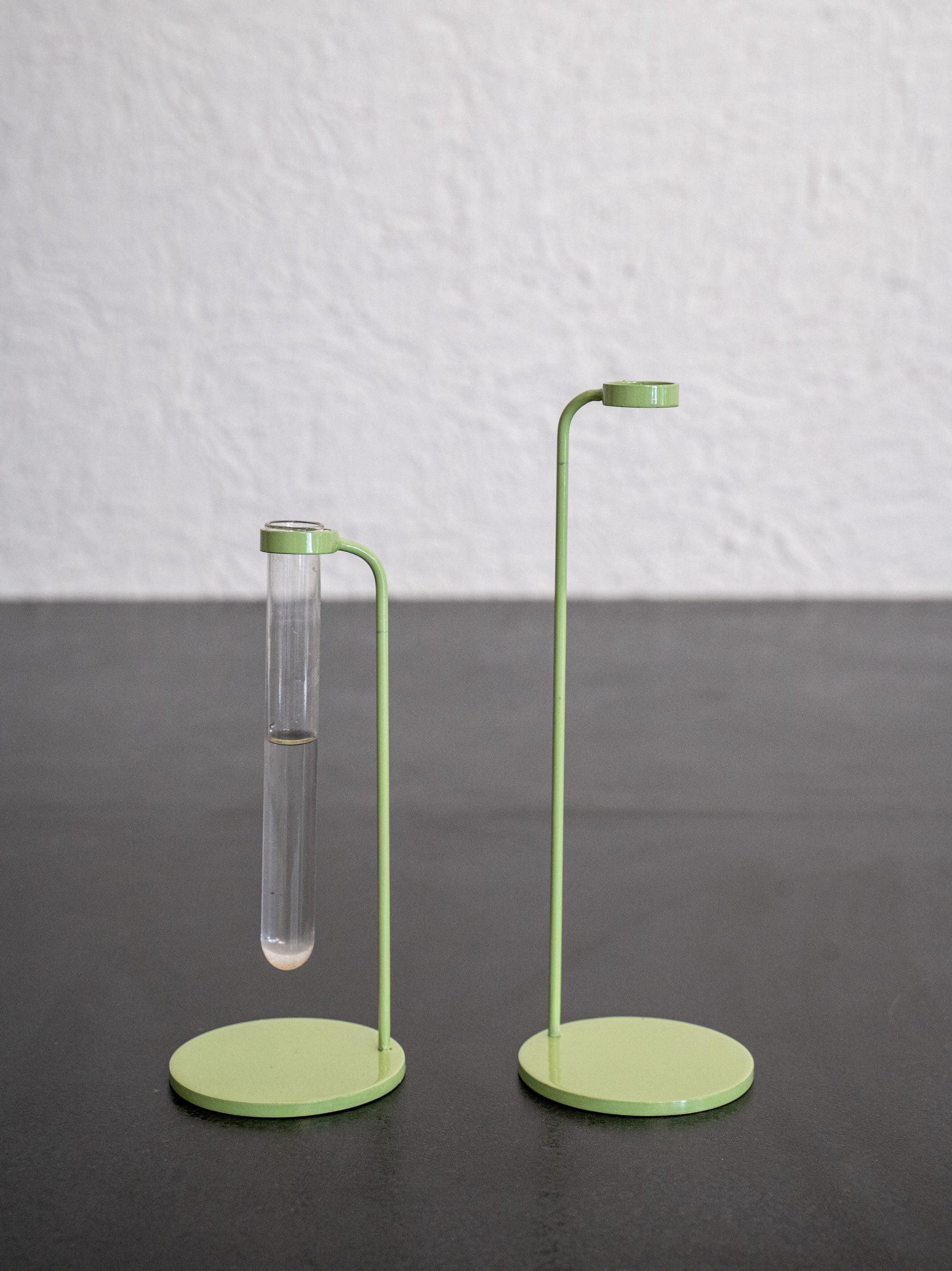 Bud Test Tube Vase