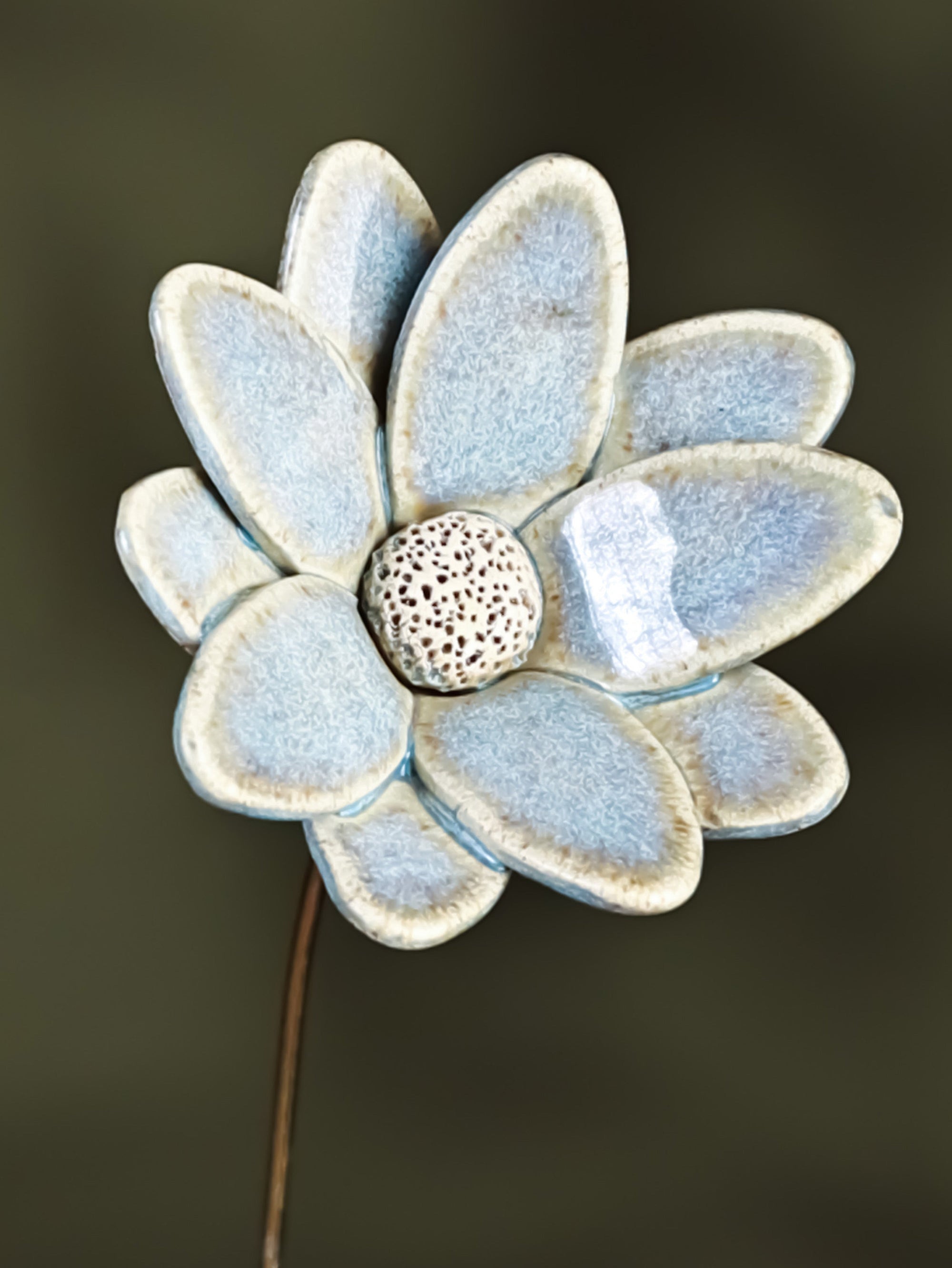 Butterfly Daisy - Single Flower Stem (Powder - Blue)