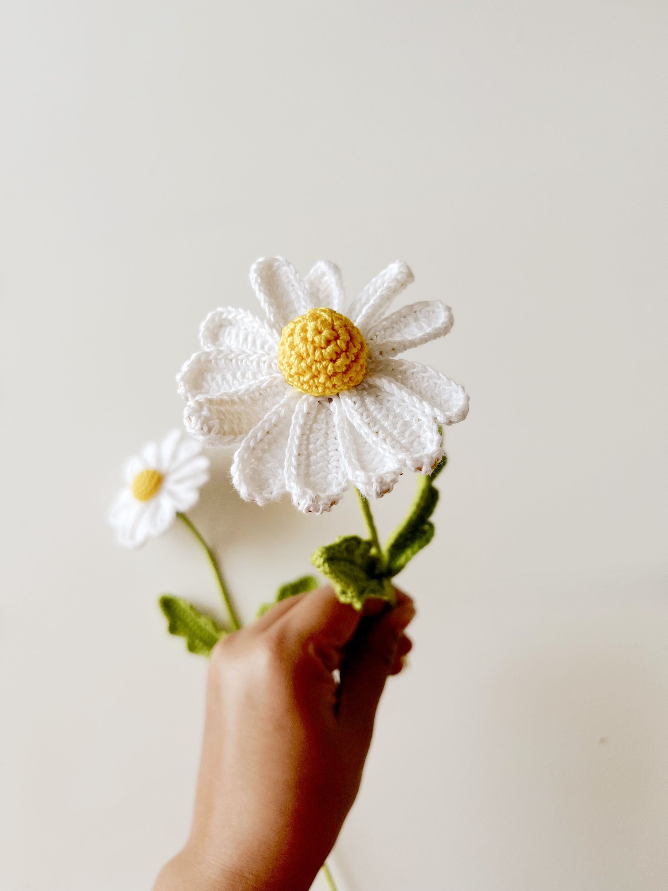 Crochet Daisy Flower