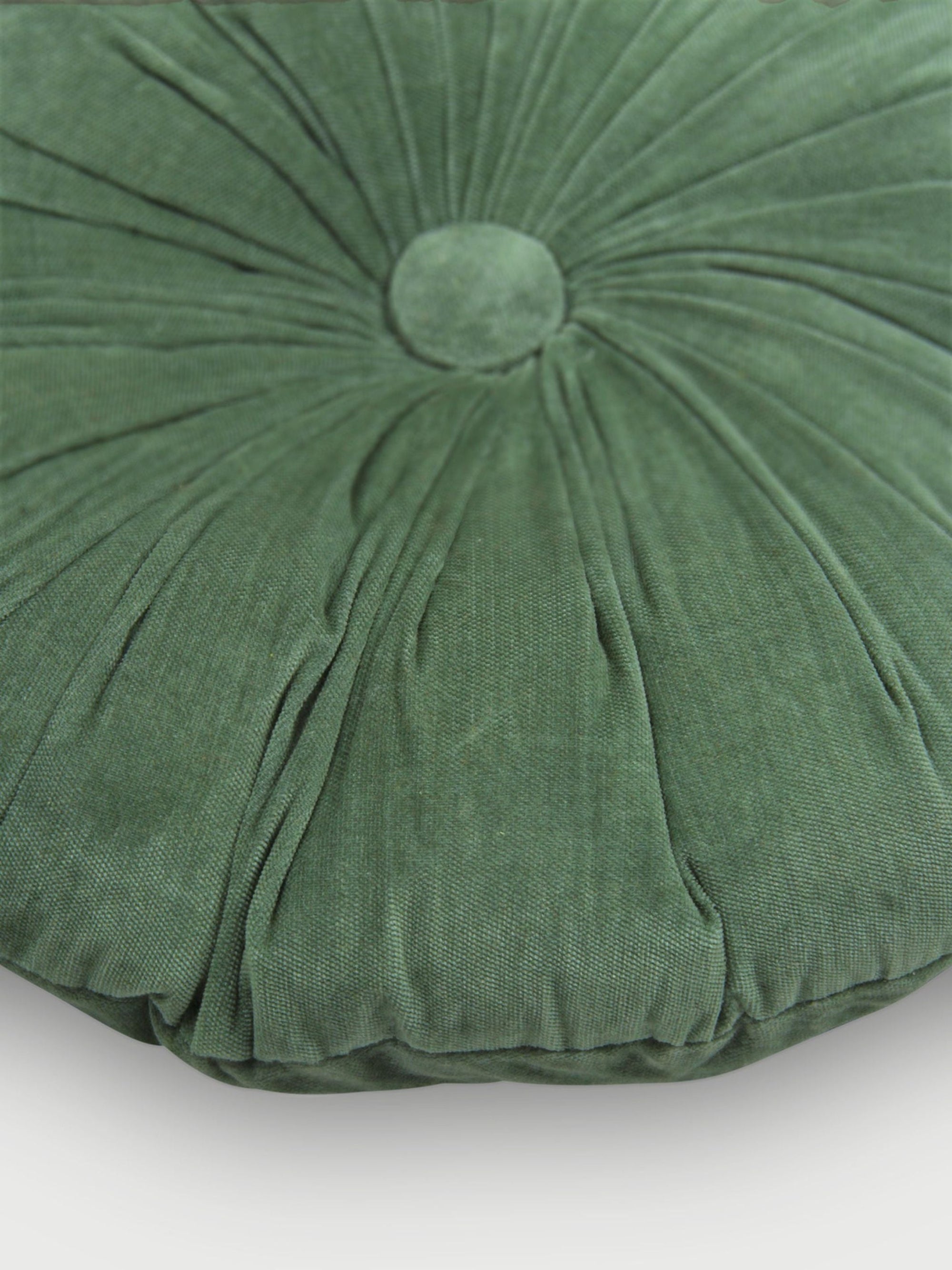Cuddle Eucalyptus Velvet Round Cushion