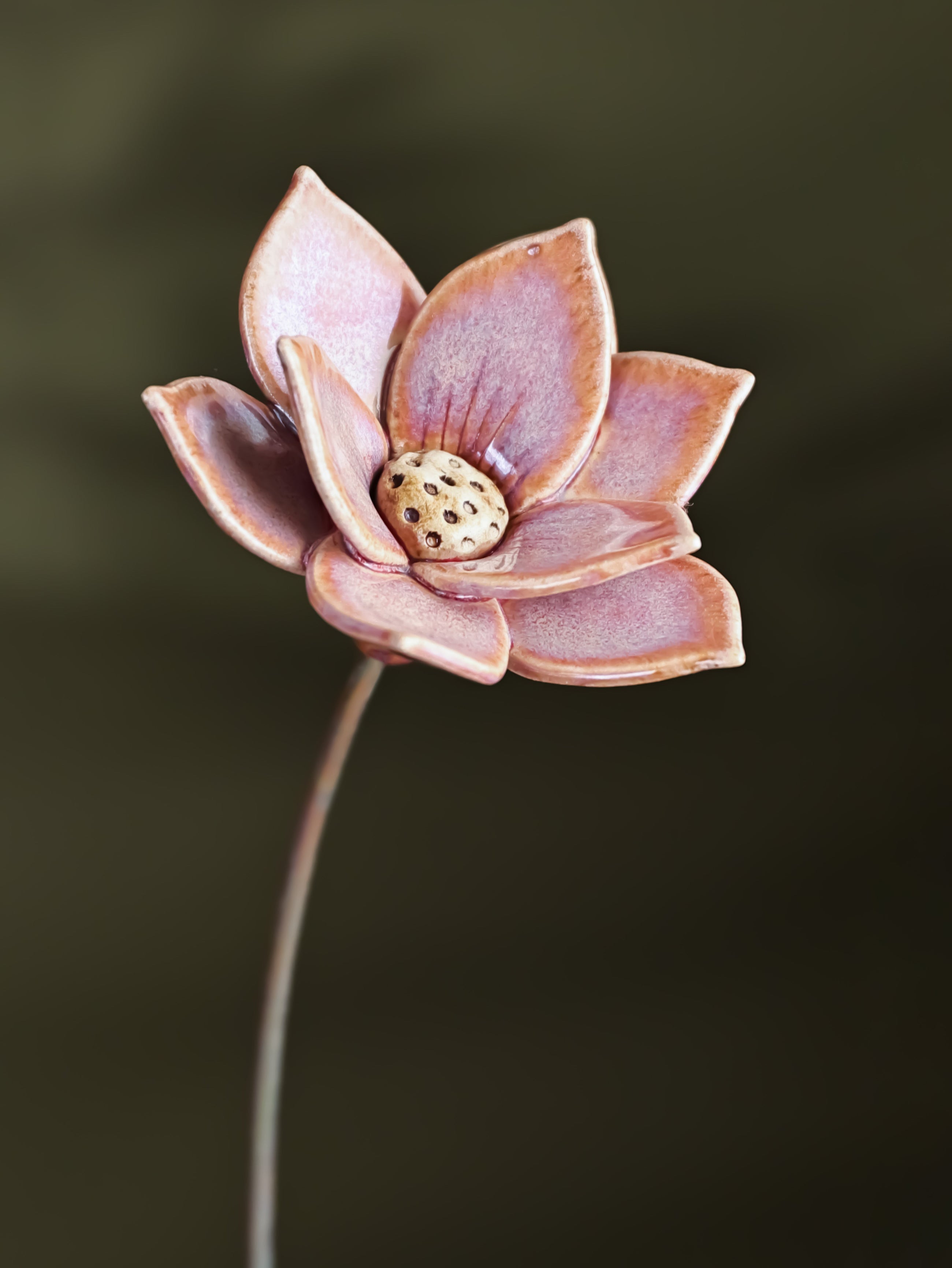 Dayflower Large - Single Flower Stem (Cherry Pink)