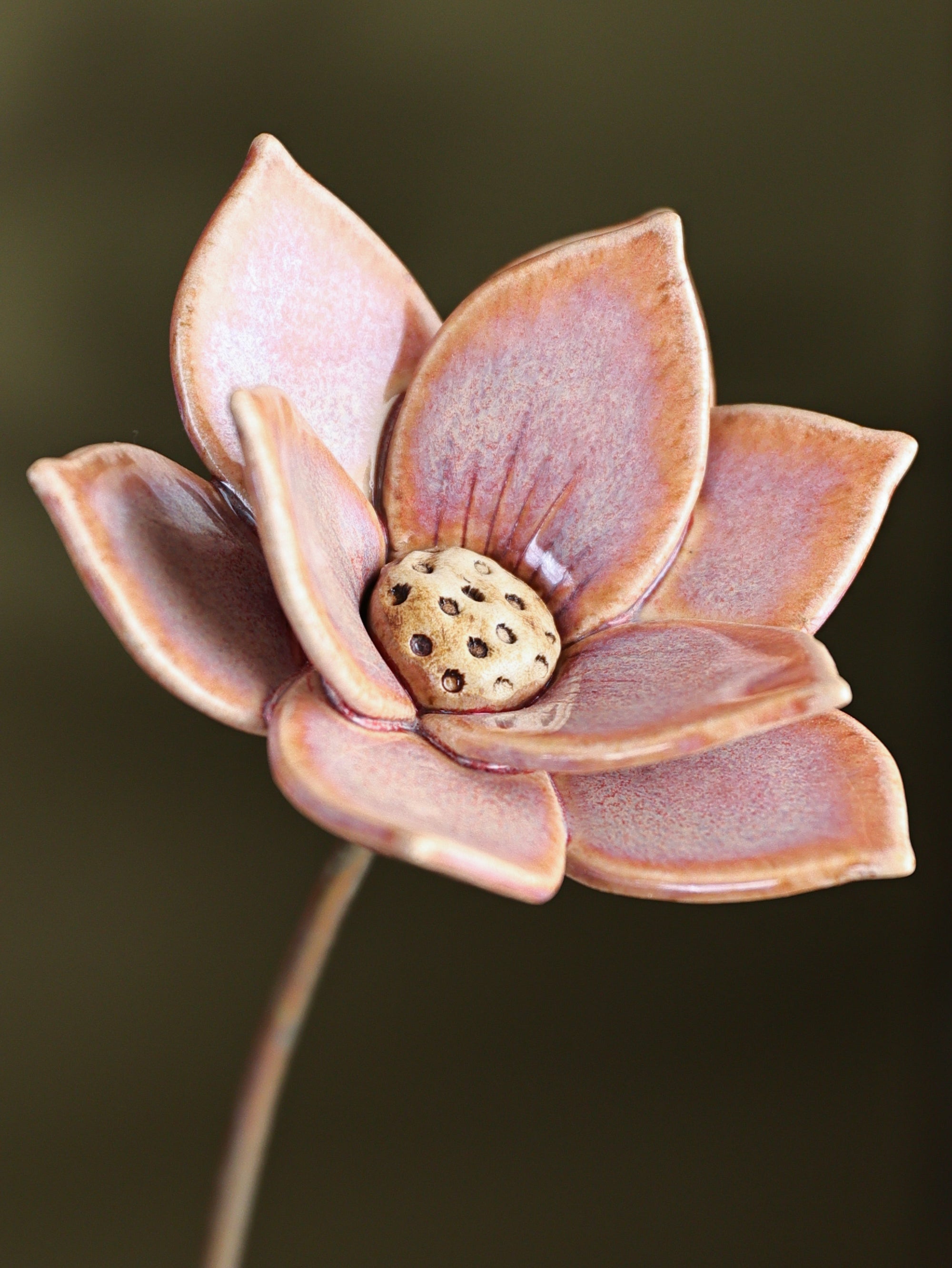Dayflower Large - Single Flower Stem (Cherry Pink)
