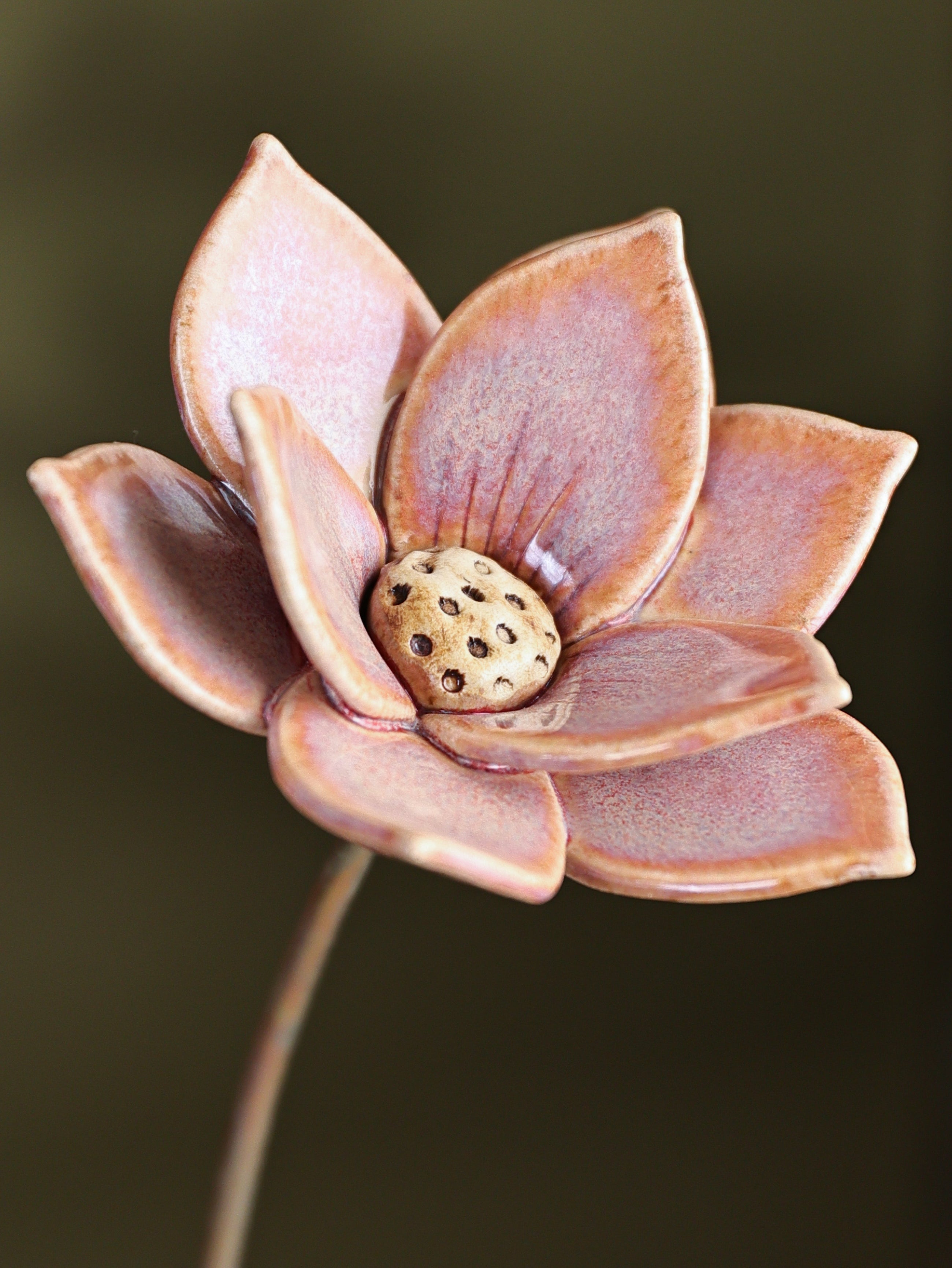 Dayflower Large - Single Flower Stem (Cherry Pink)