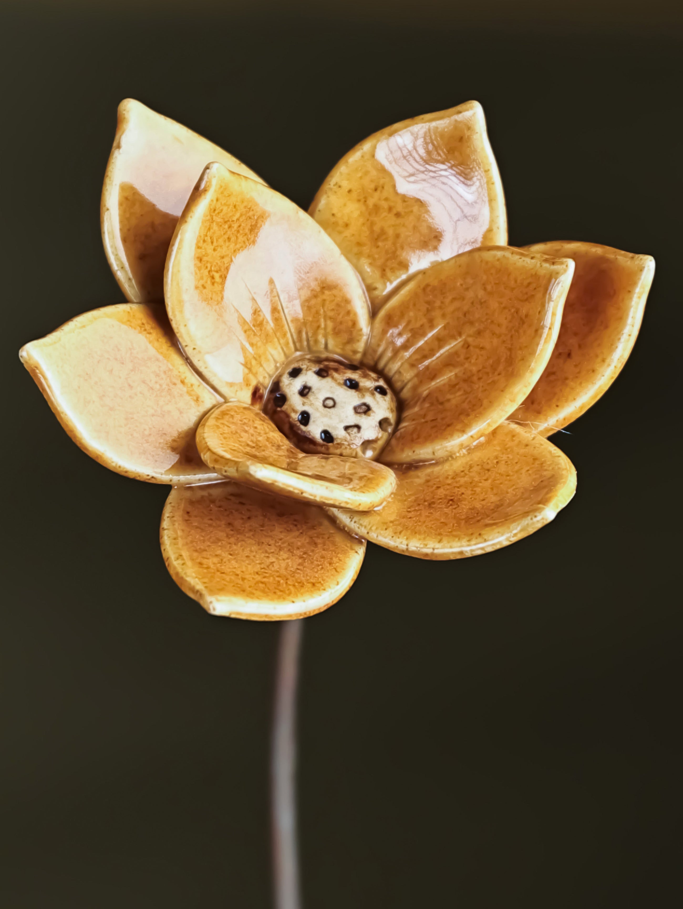 Dayflower Large - Single Flower Stem (Mustard Yellow)