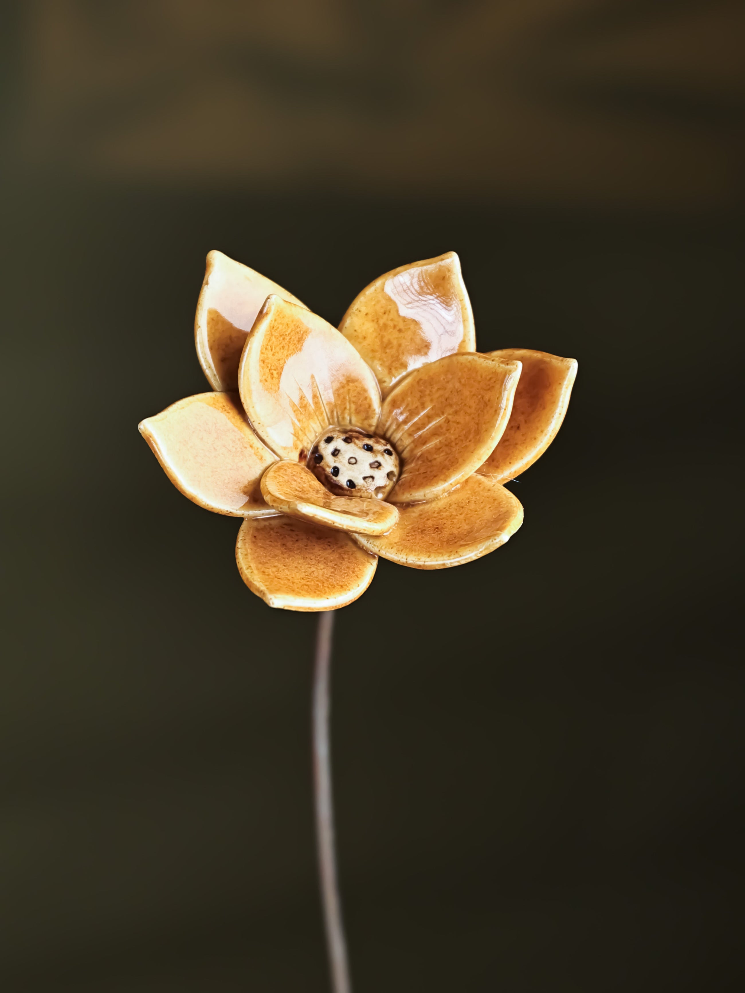 Dayflower Large - Single Flower Stem (Mustard Yellow)