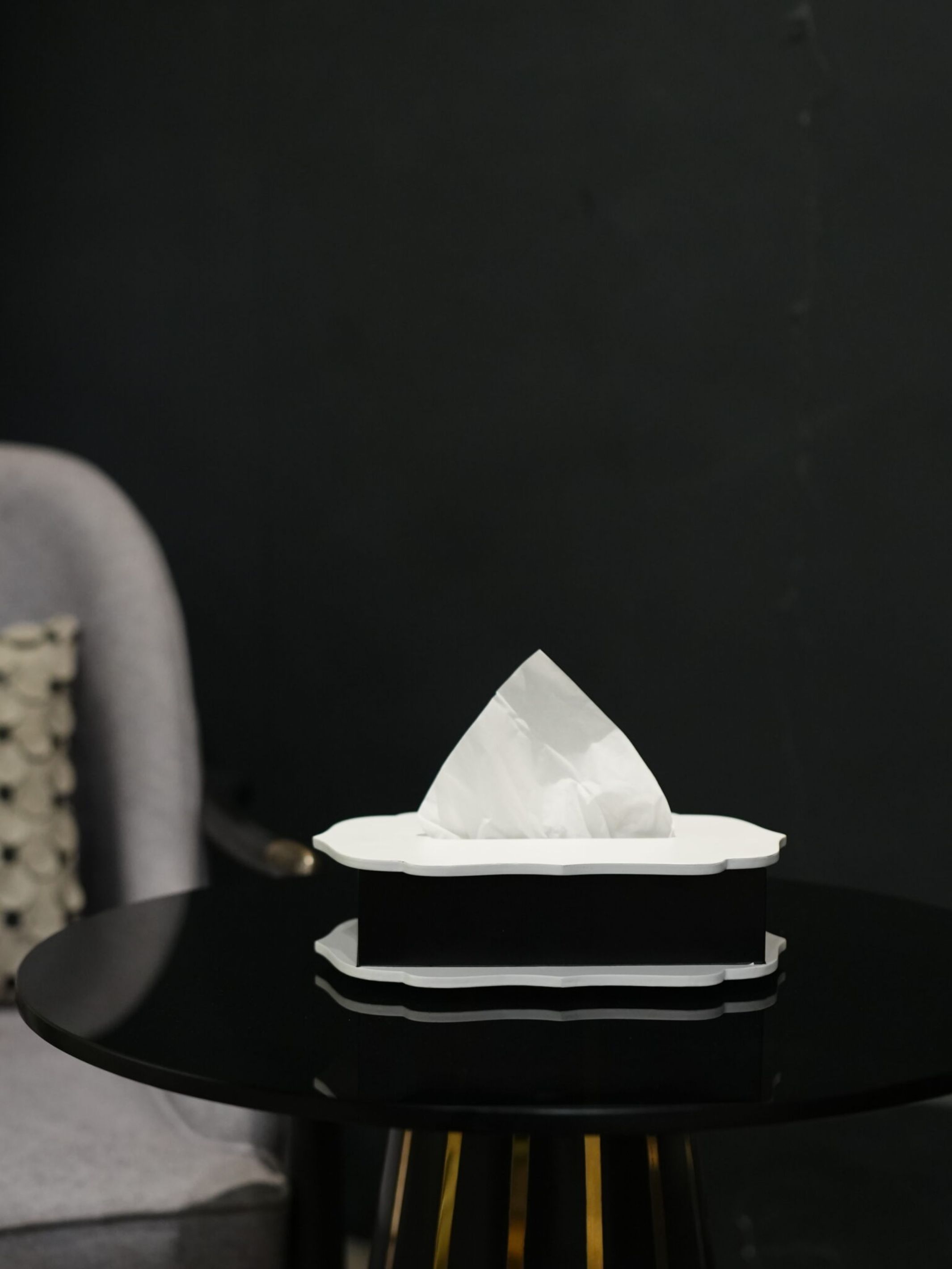 The Silhoutte Tissue Box