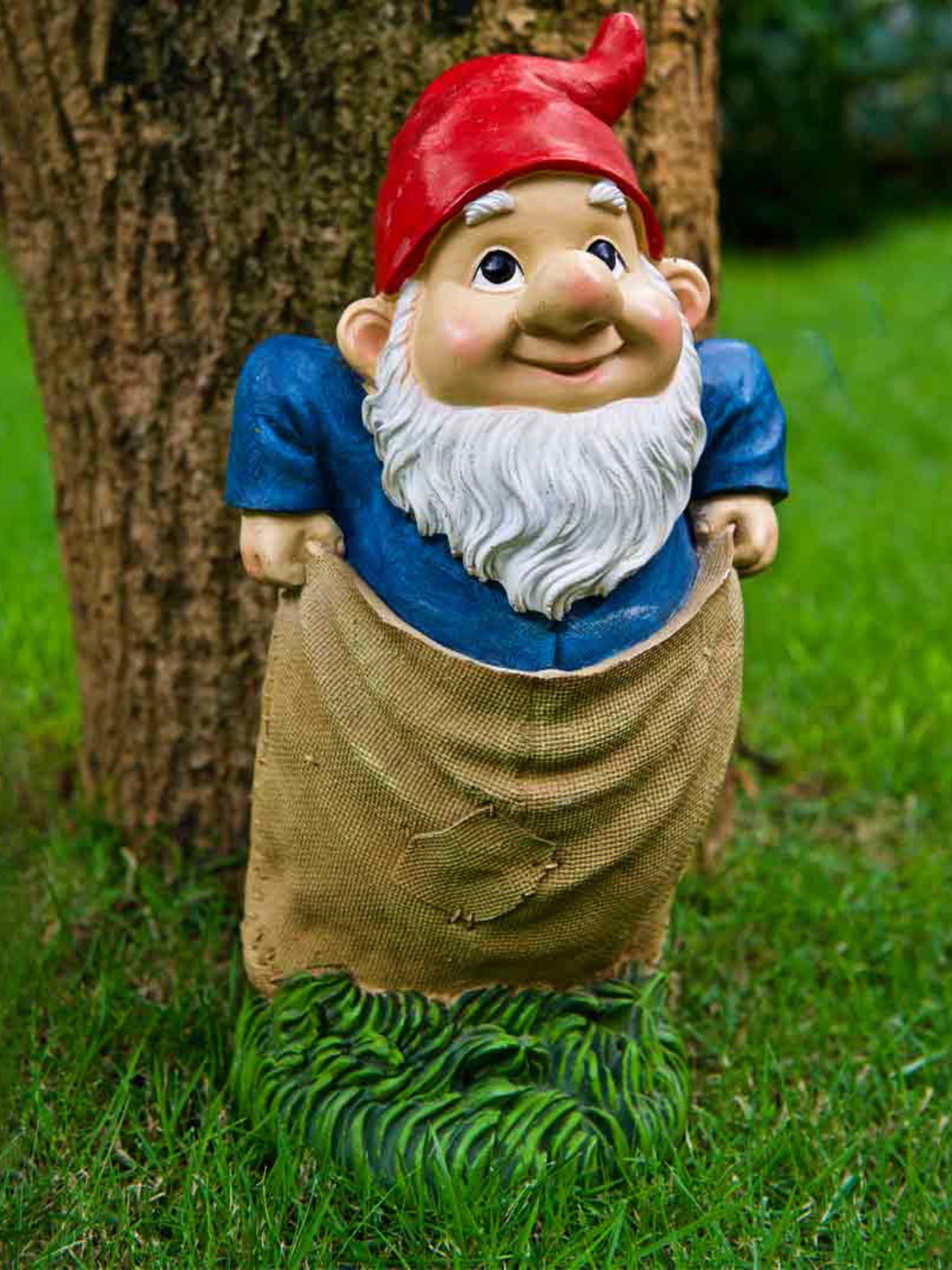 Gnome In Sack Race