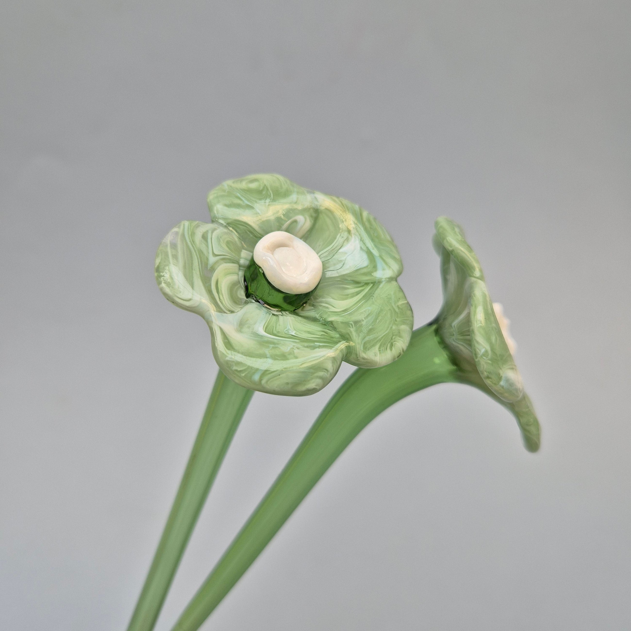 Daisy Glass Flower Stem - Jade