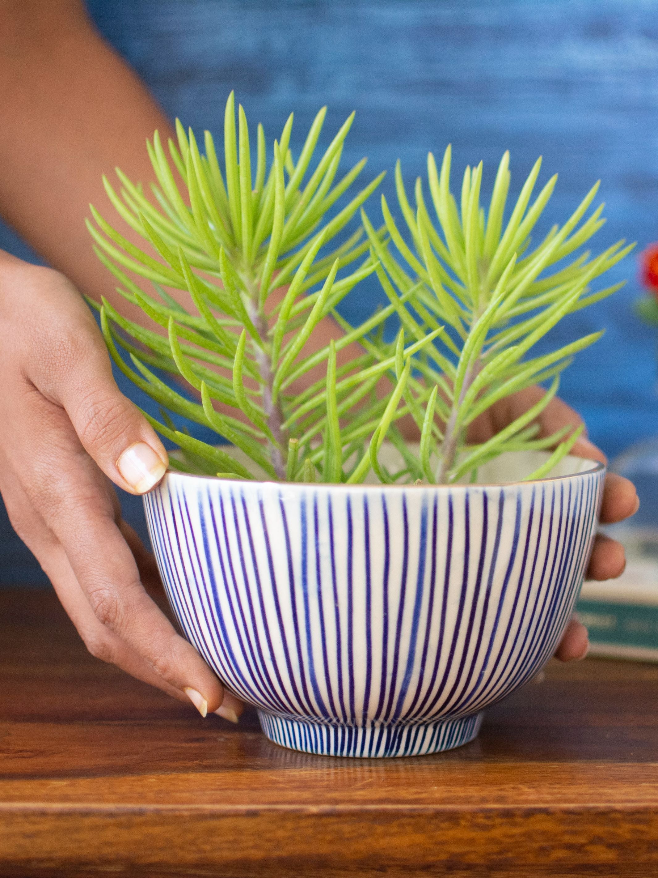 Handpainted Striped Ceramic Blue Round Planter