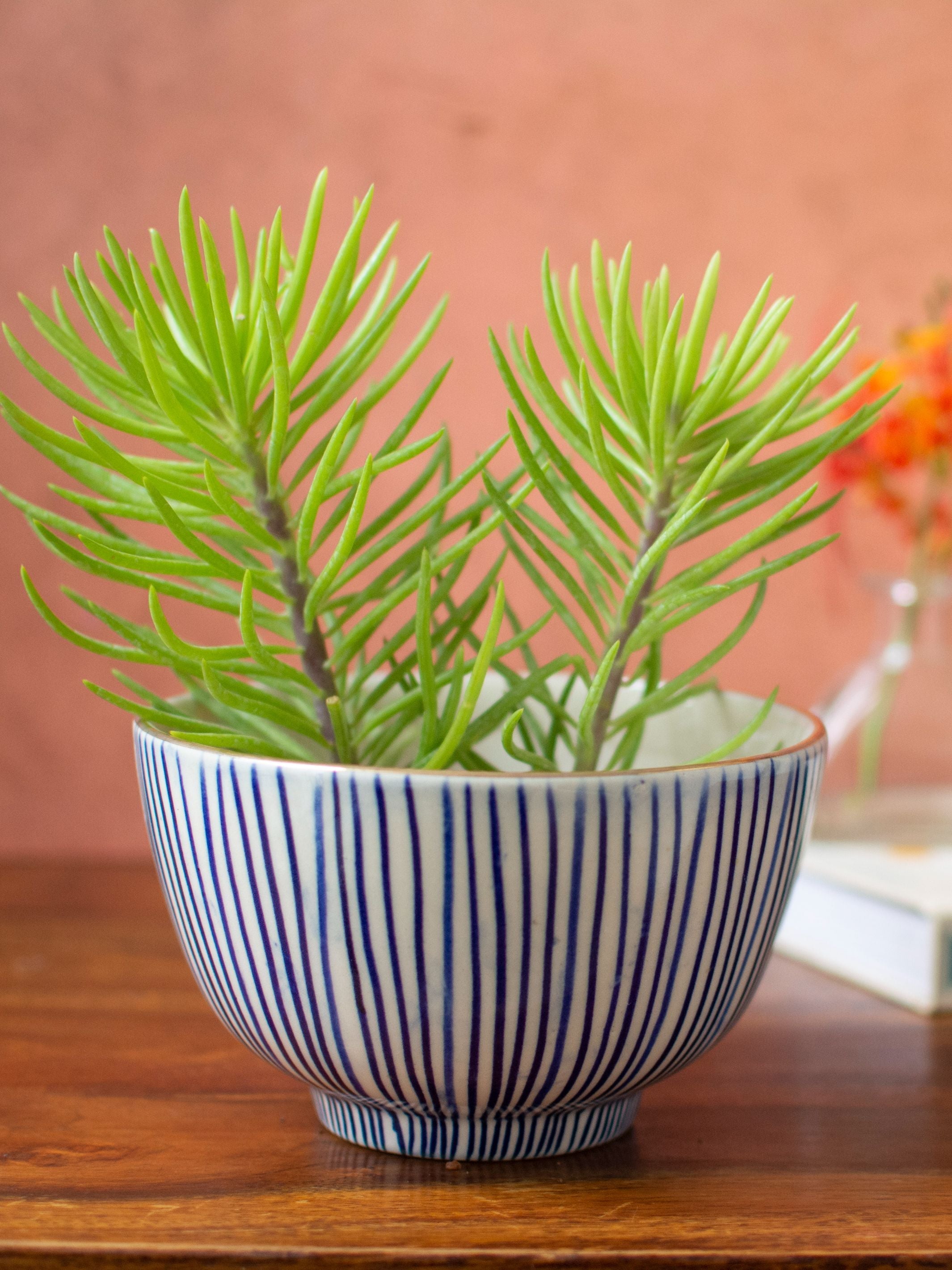 Handpainted Striped Ceramic Blue Round Planter