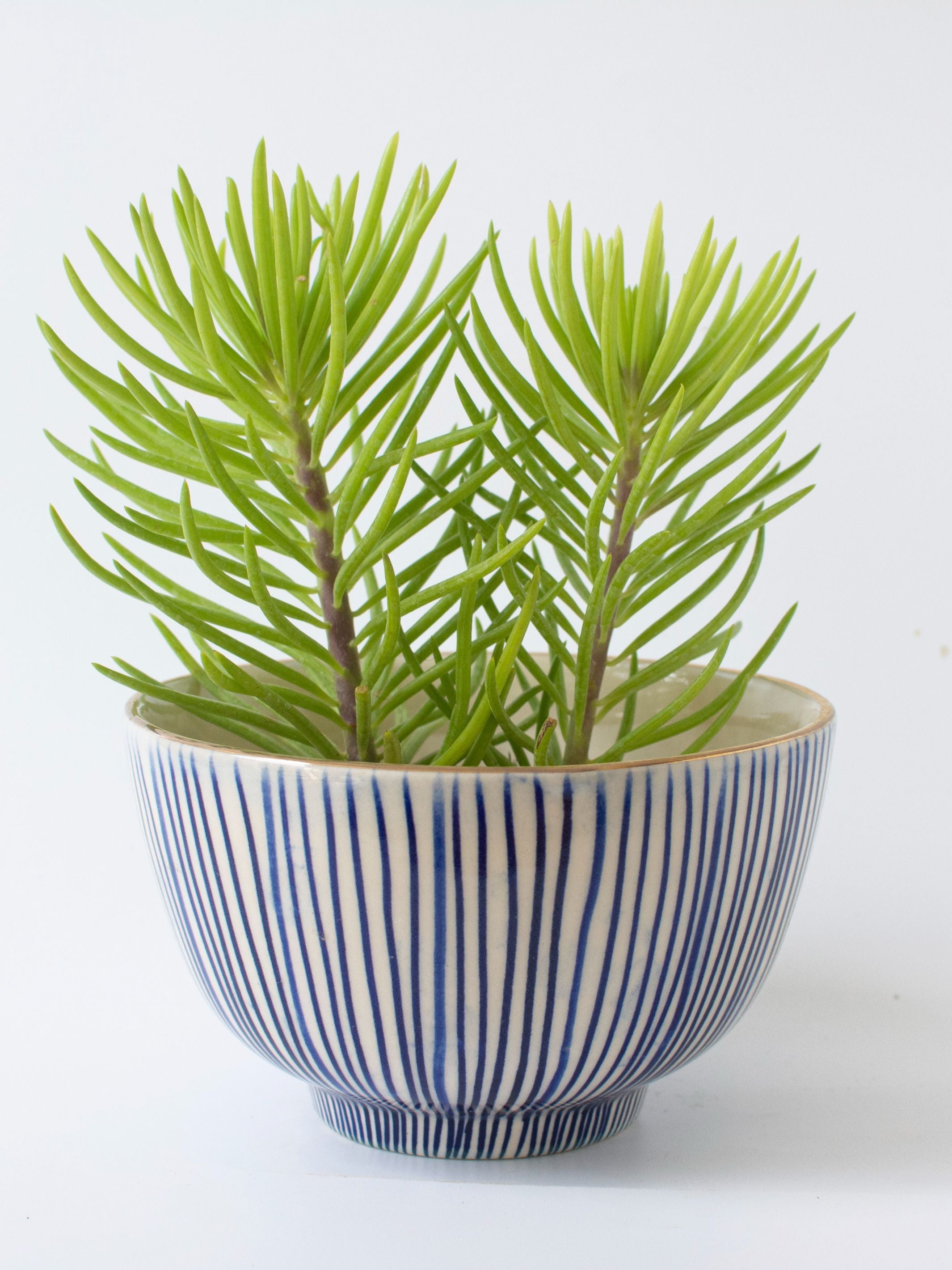 Handpainted Striped Ceramic Blue Round Planter