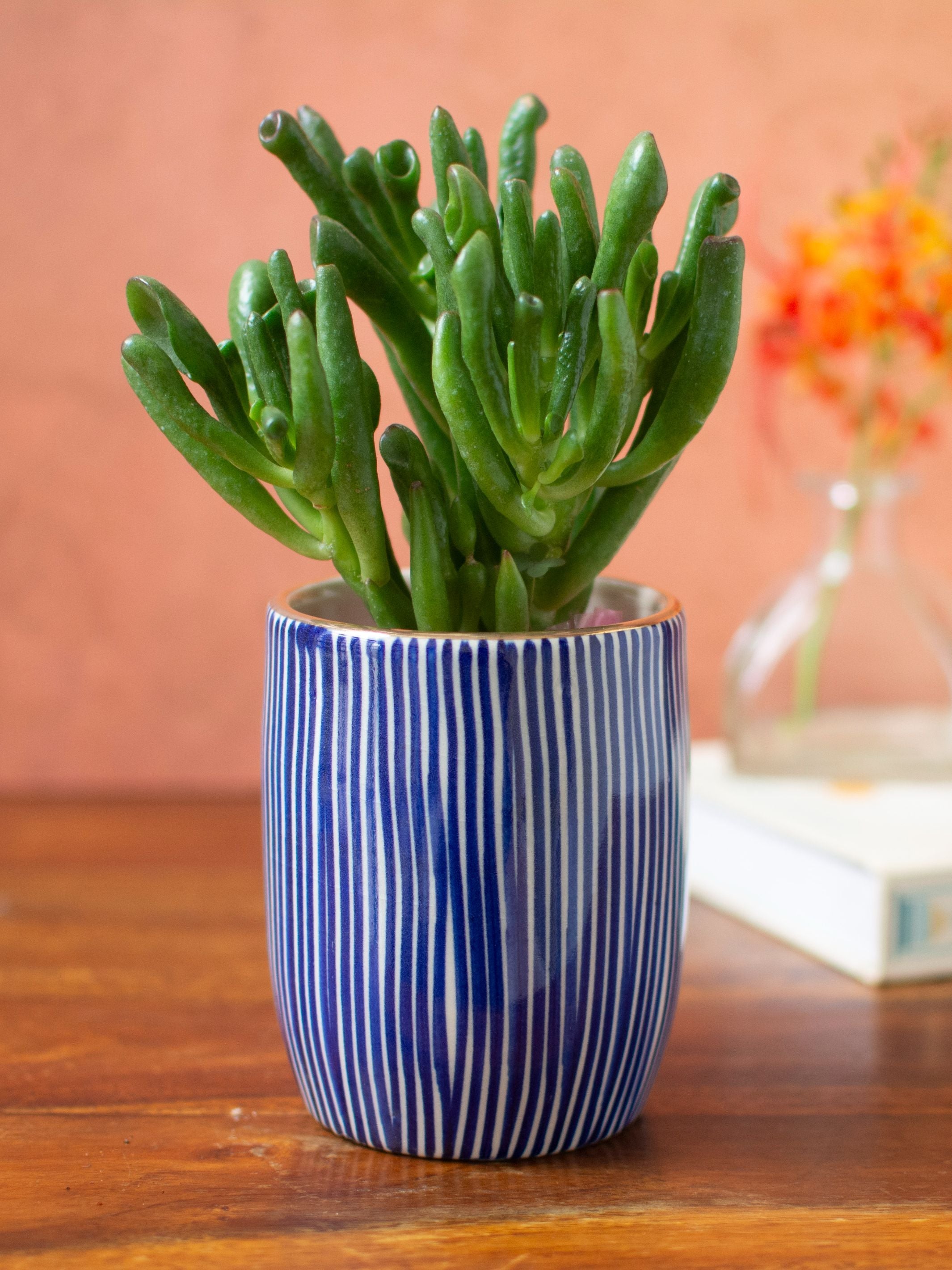 Handpainted Striped Ceramic Blue Tabletop Planter
