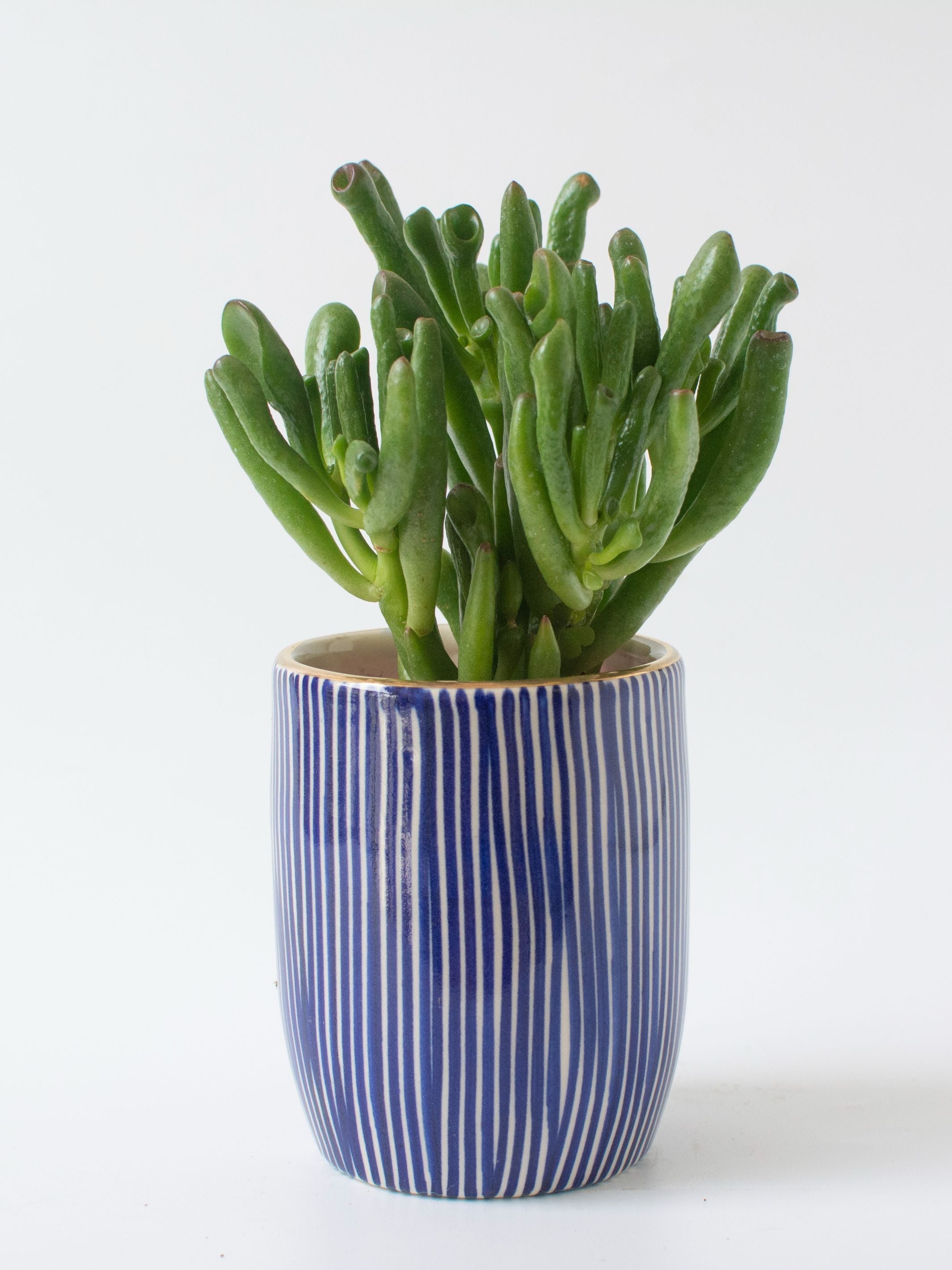 Handpainted Striped Ceramic Blue Tabletop Planter