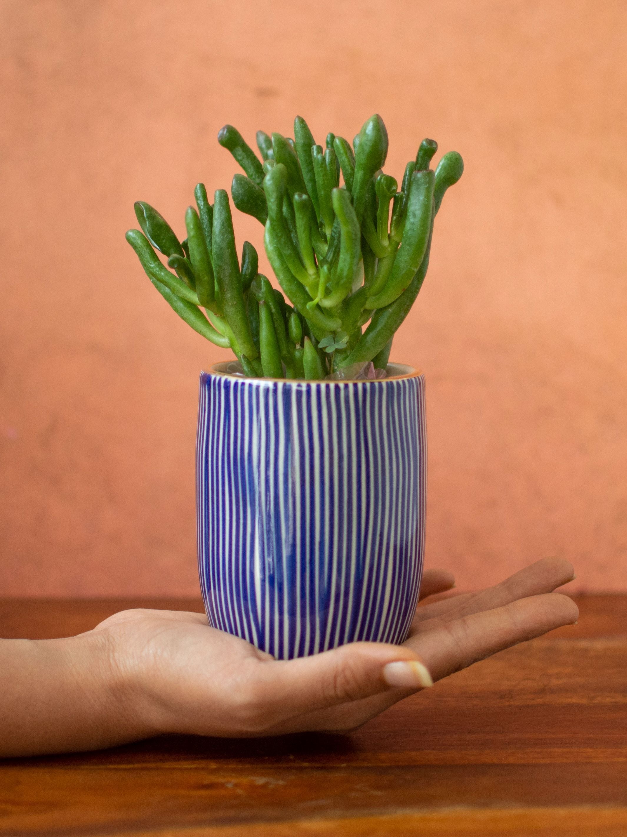 Handpainted Striped Ceramic Blue Tabletop Planter