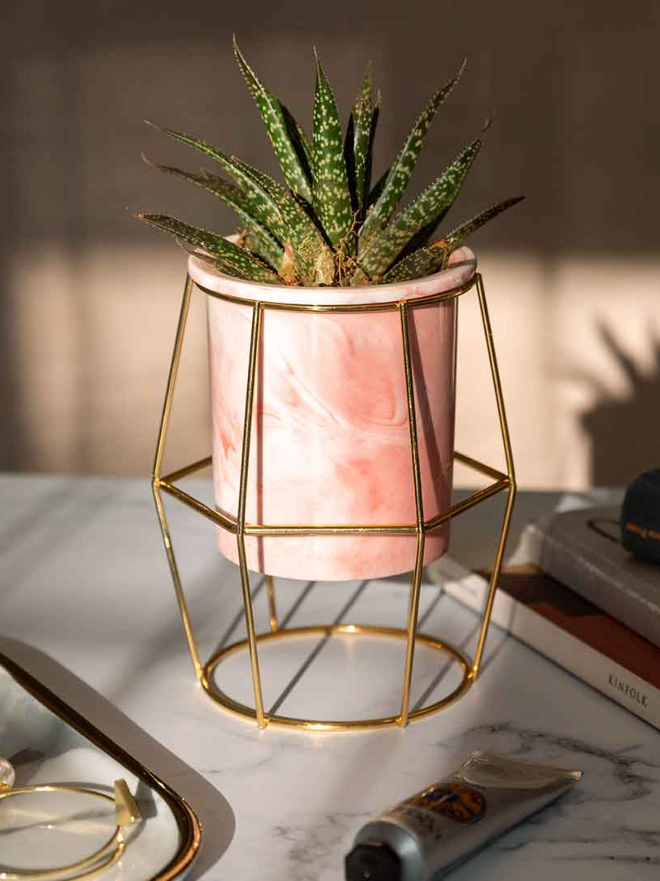 Hexagon Pink Planter
