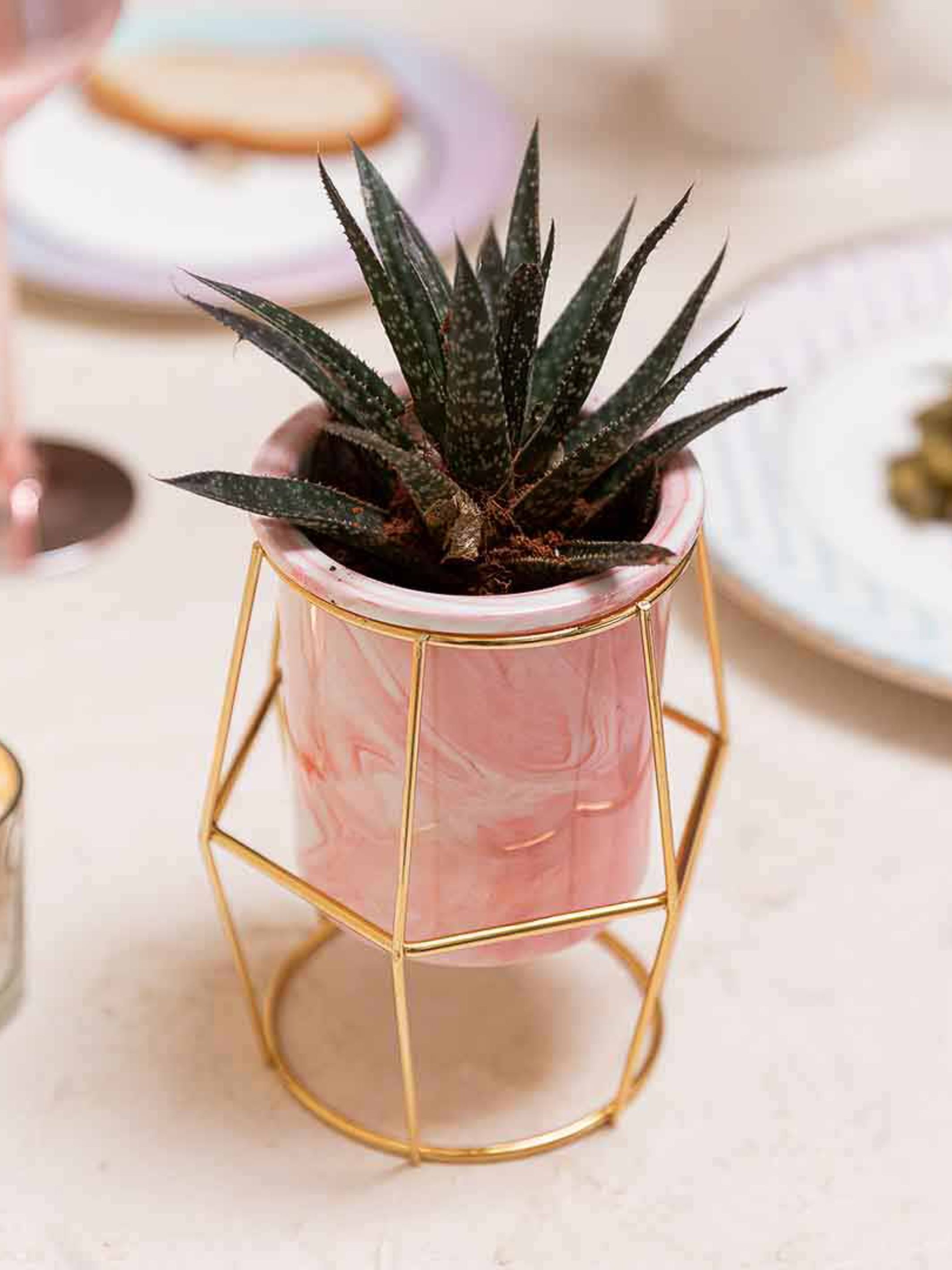 Hexagon Pink Planter