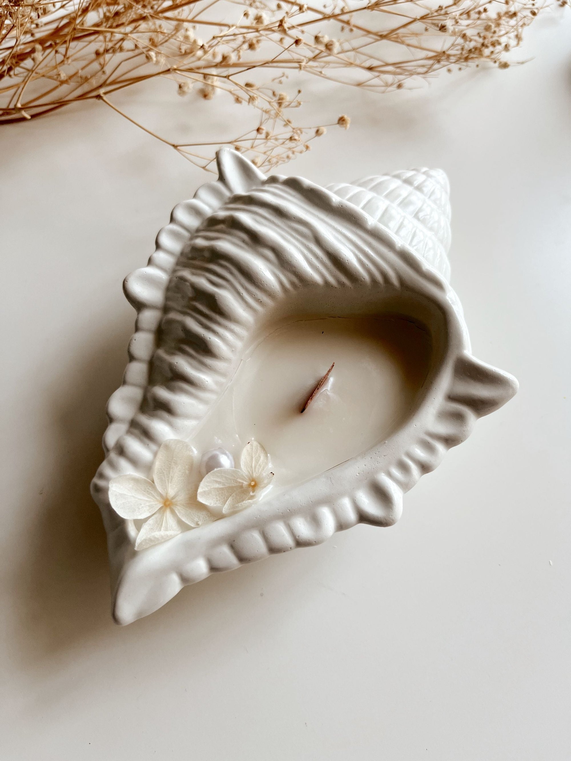 Concrete Conch Candle