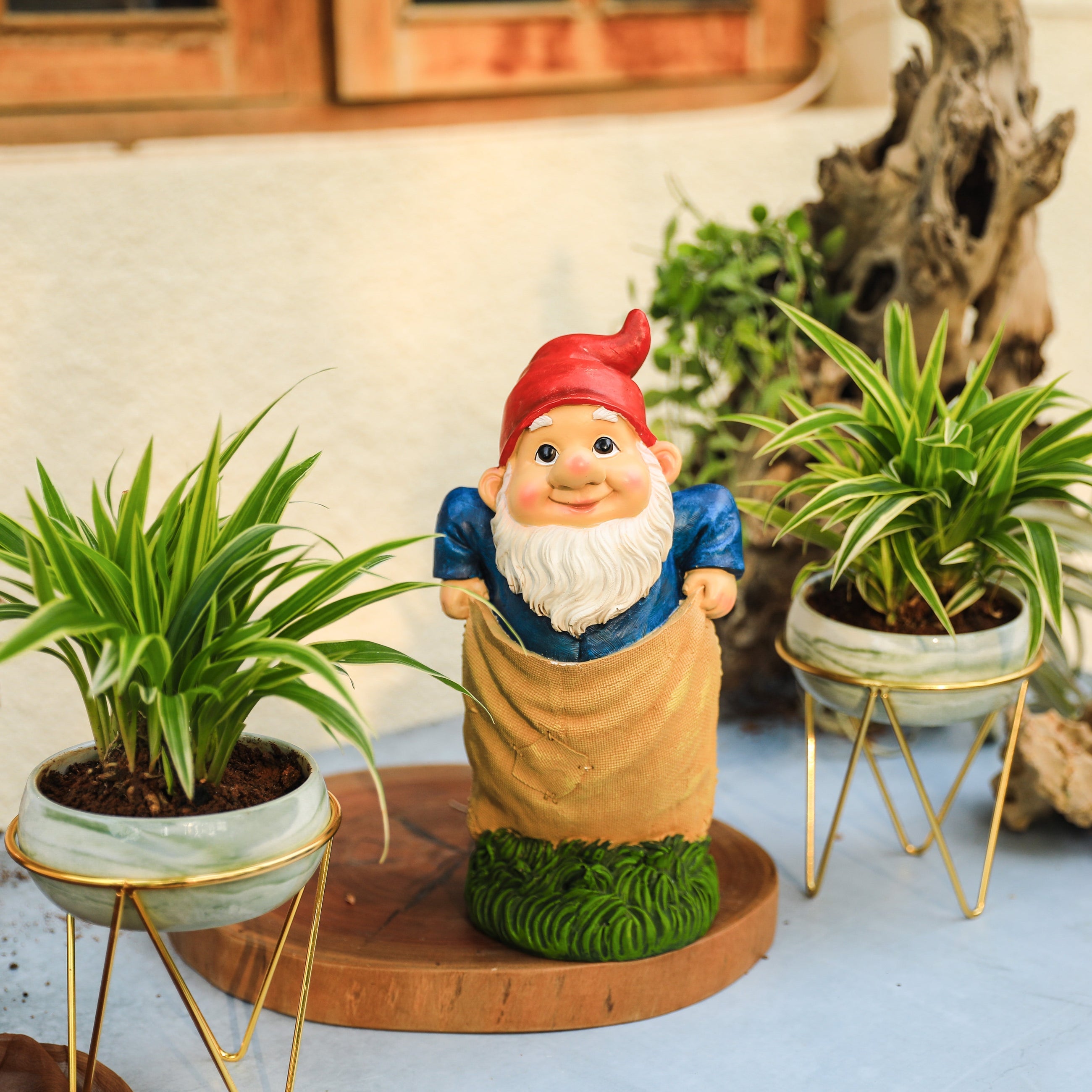 Gnome in a Sack Race I Garden Decor