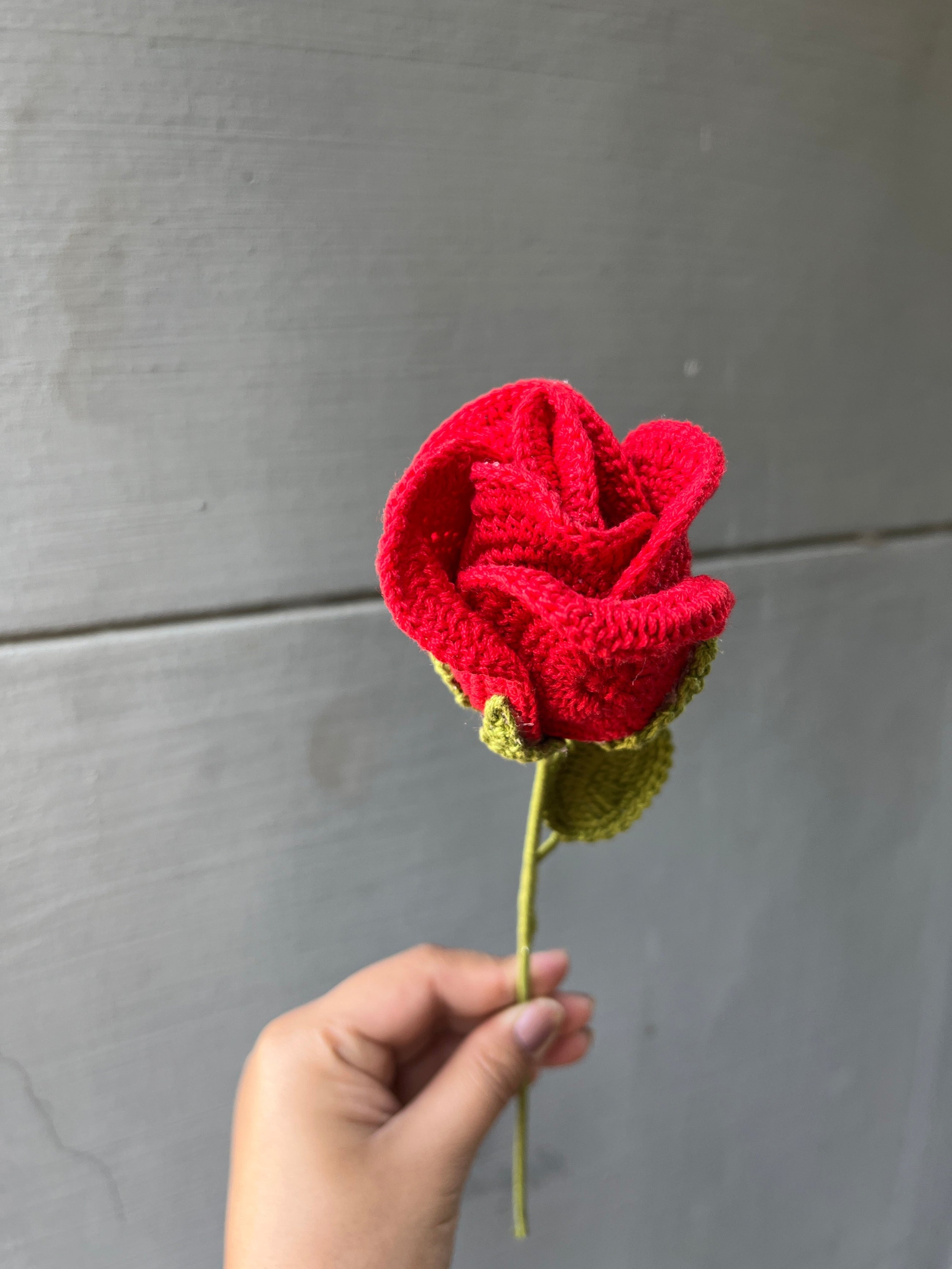 Red Rose Flower Bud