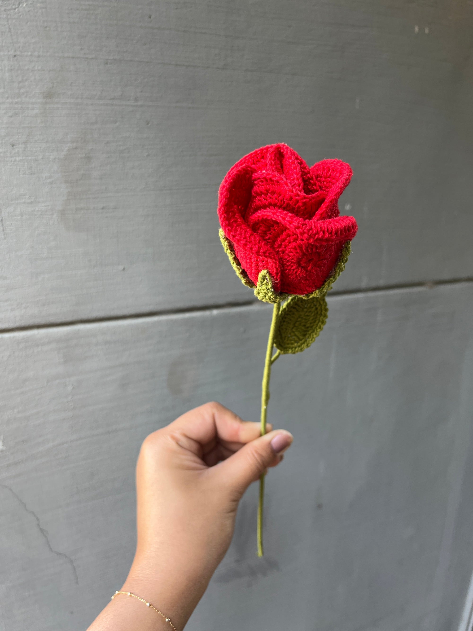 Red Rose Flower Bud