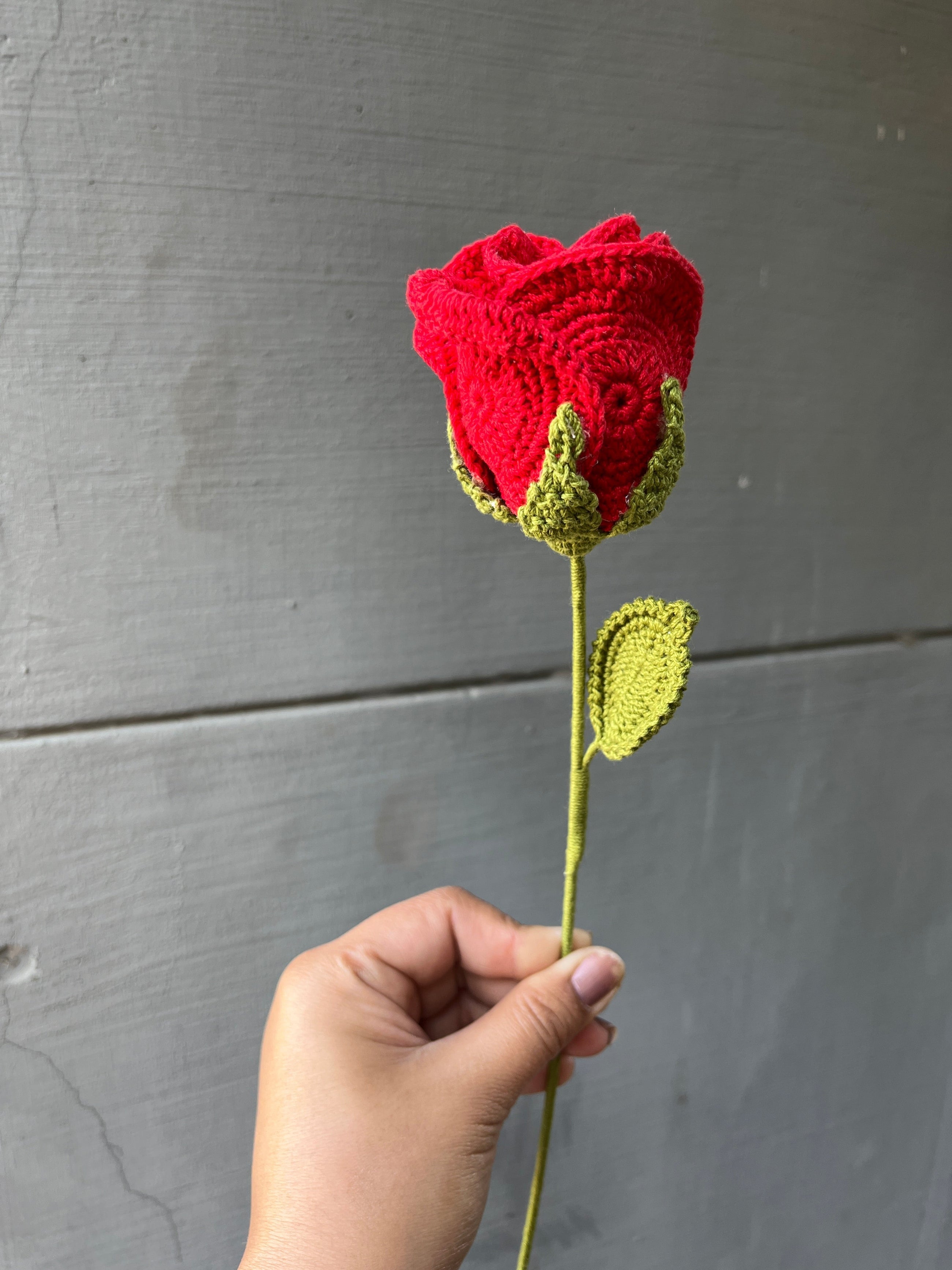 Red Rose Flower Bud