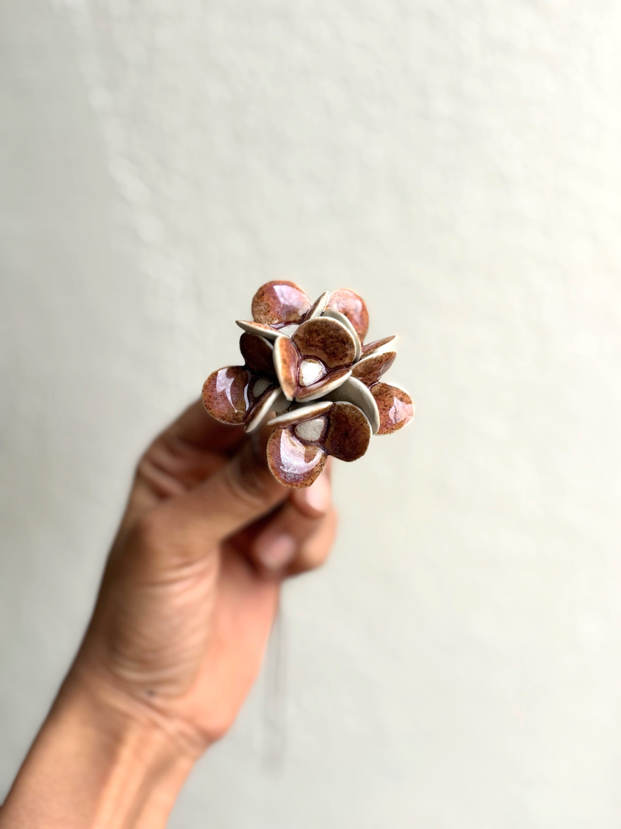 Magical Hydrengea - Single Flower Stem