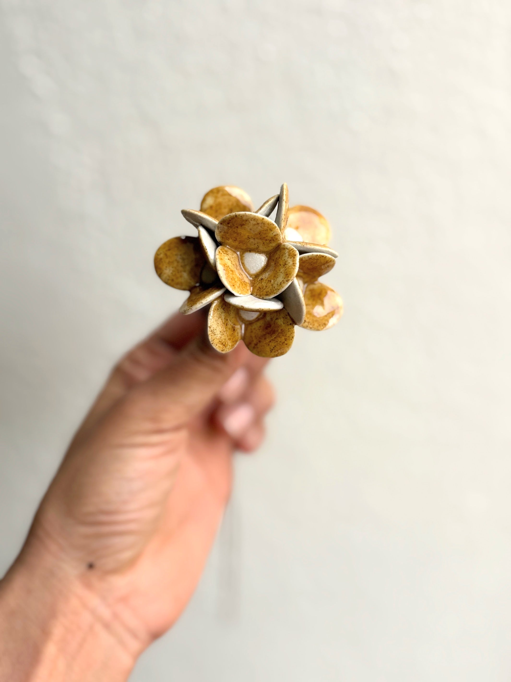 Magical Hydrengea - Single Flower Stem