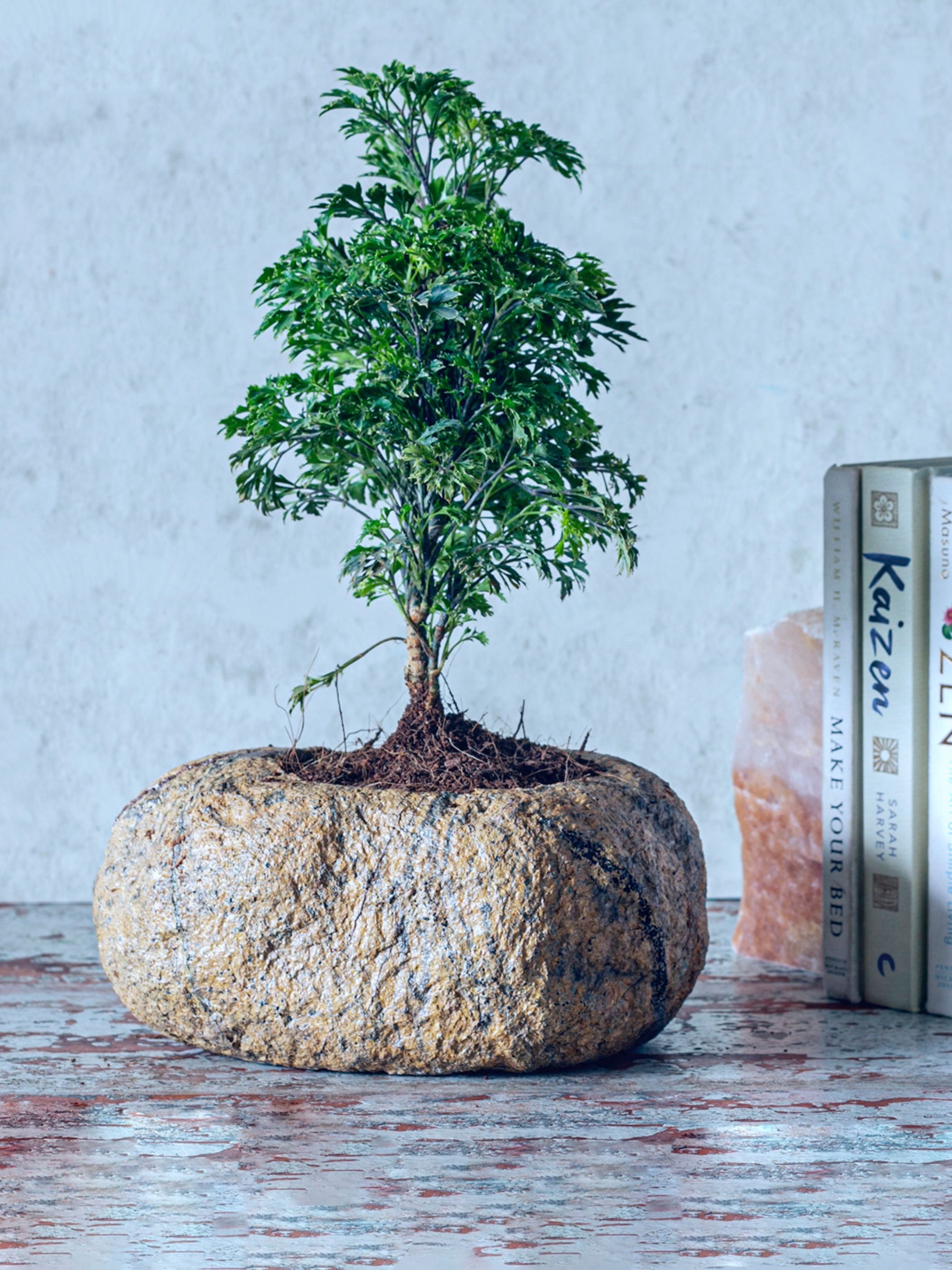 Marble Planter - Brown Small