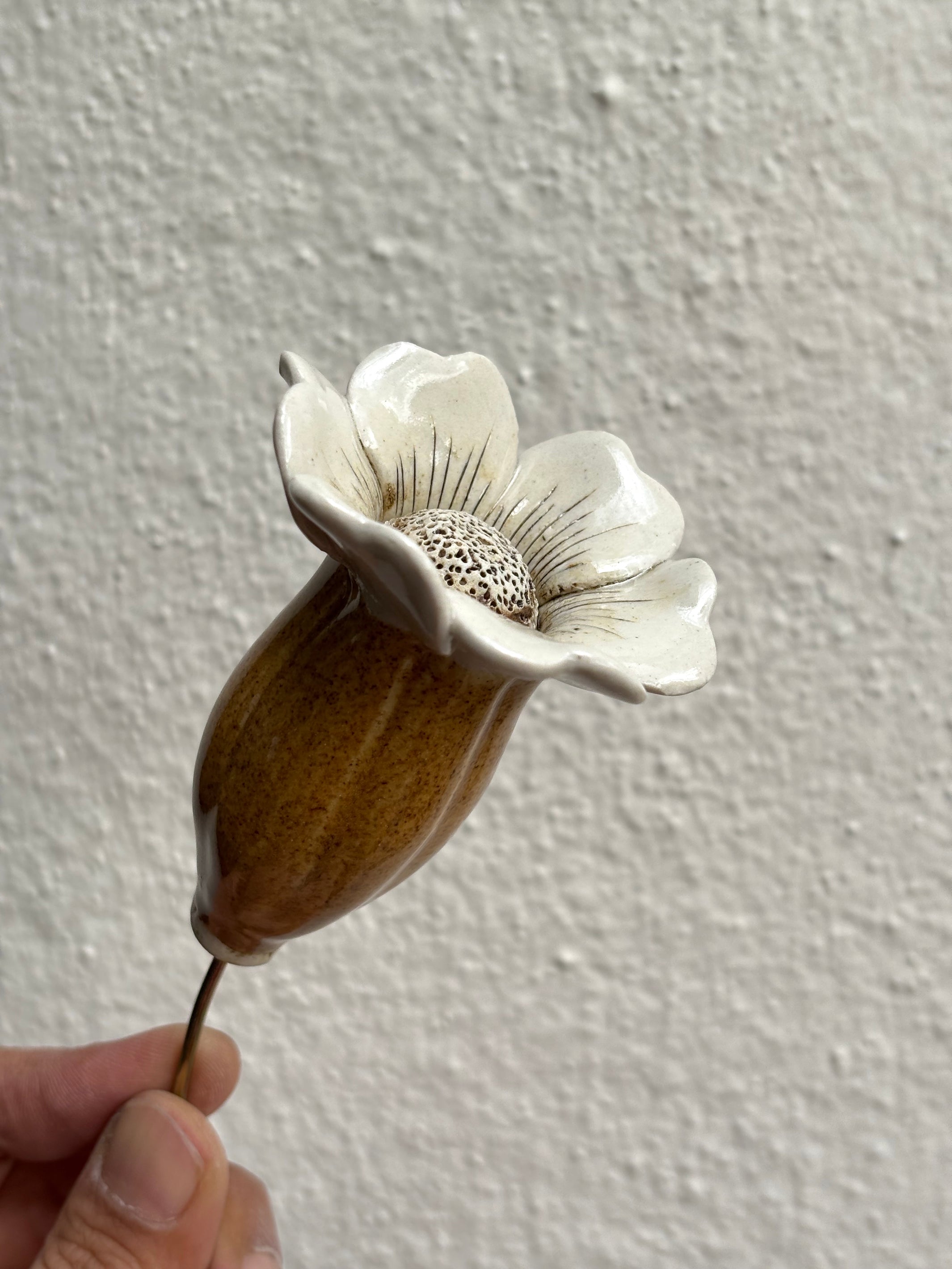 Midsummer Night's Dream- Mustard