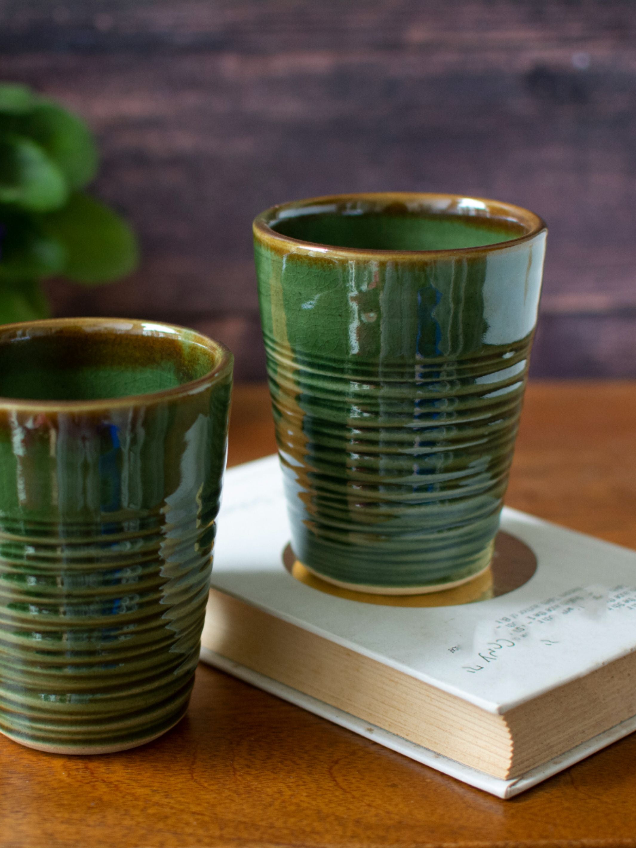 Moss Tumbler Set of 2