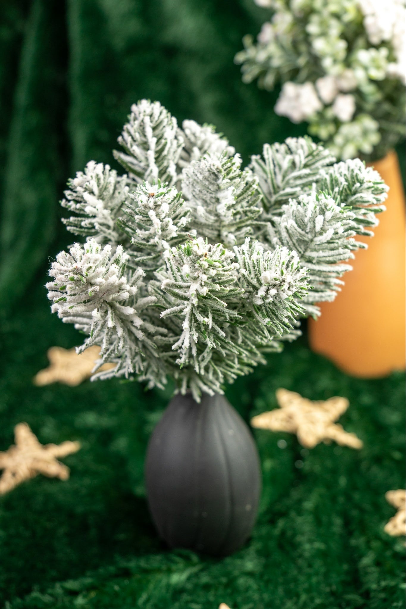 Snow-Dusted Pine Leaf Bunch