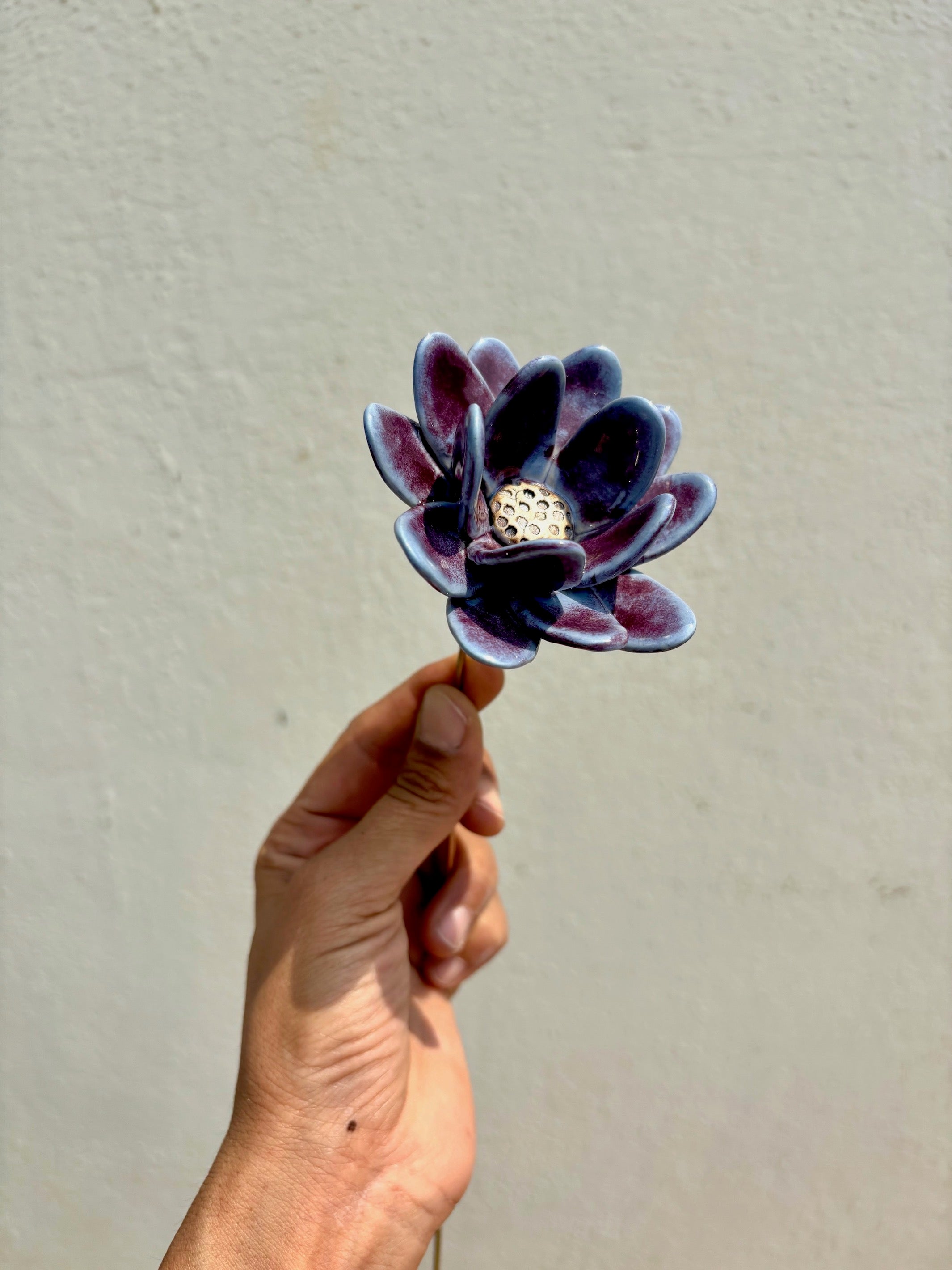 Rainflower Single flower Stem - Purple